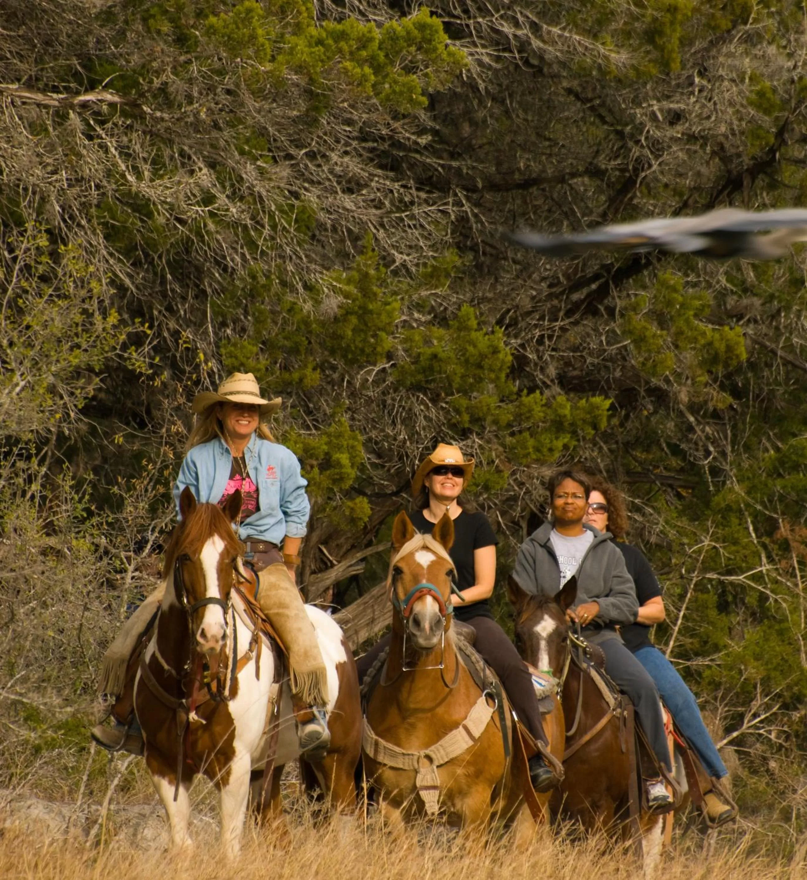 Horse-riding in Flying L Ranch Resort & Golf Course