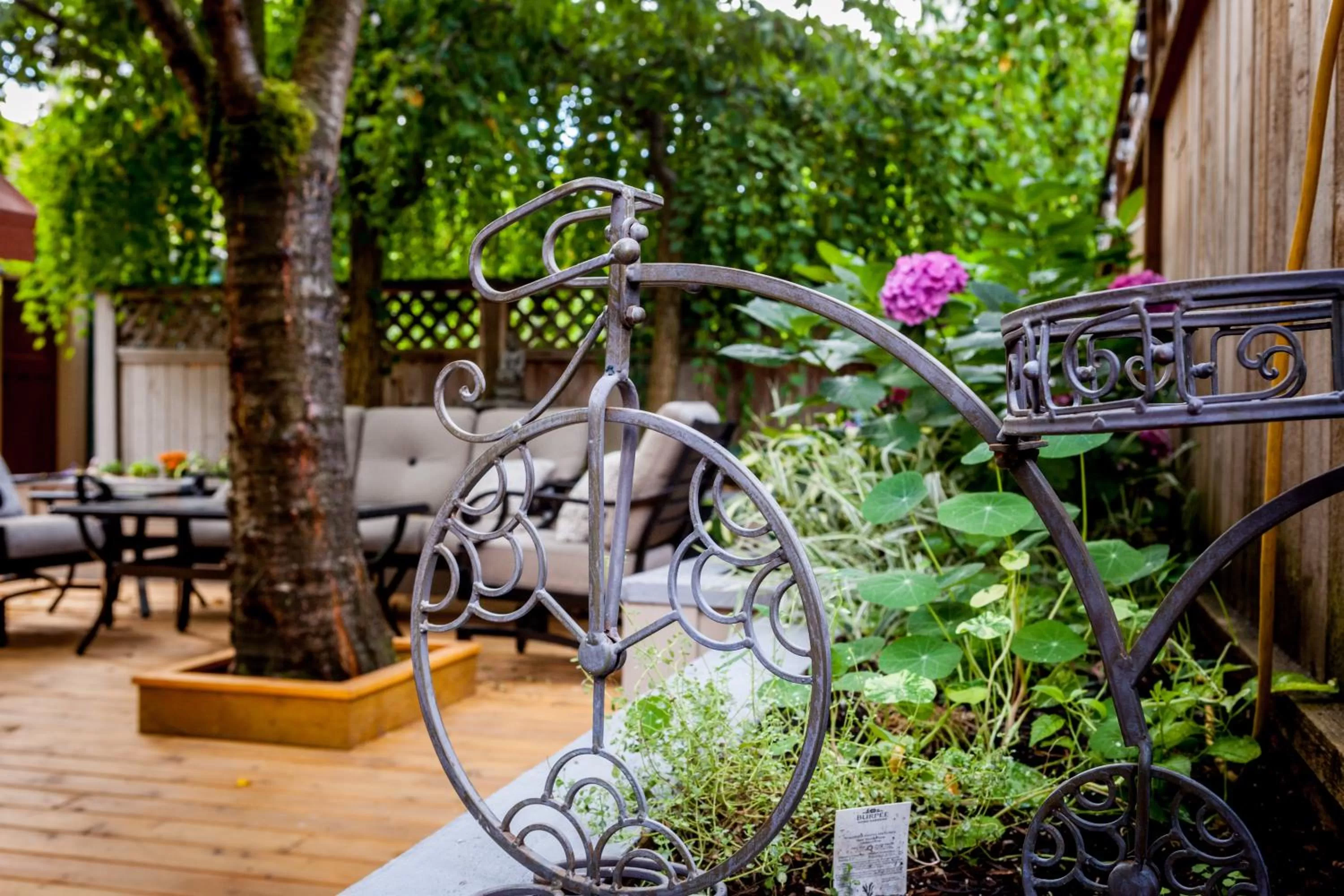 Balcony/Terrace in O Canada House Bed & Breakfast