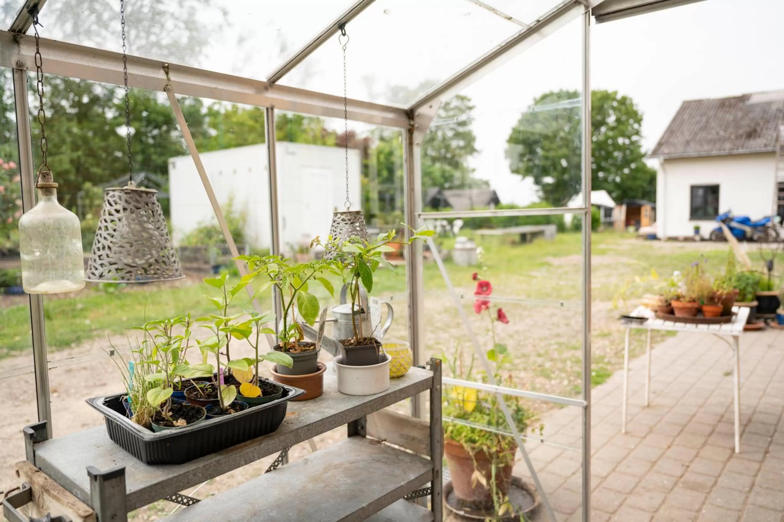 Garden view in Skortskær Bondegårdsferie