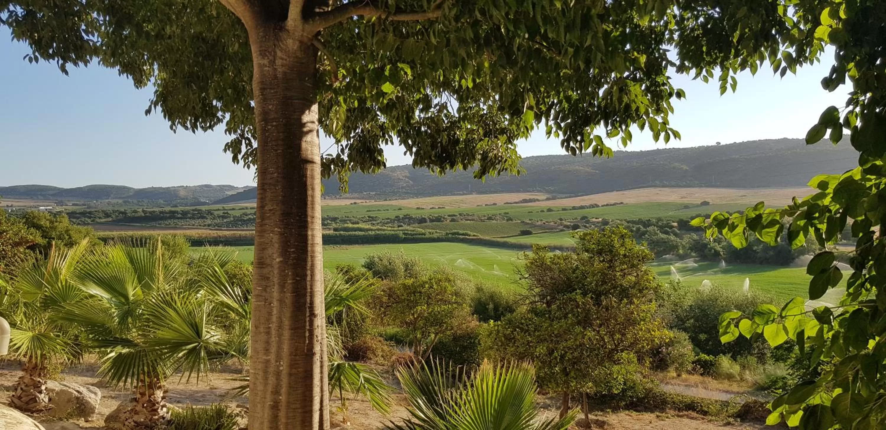 Garden in Hacienda El Santiscal Adults Only