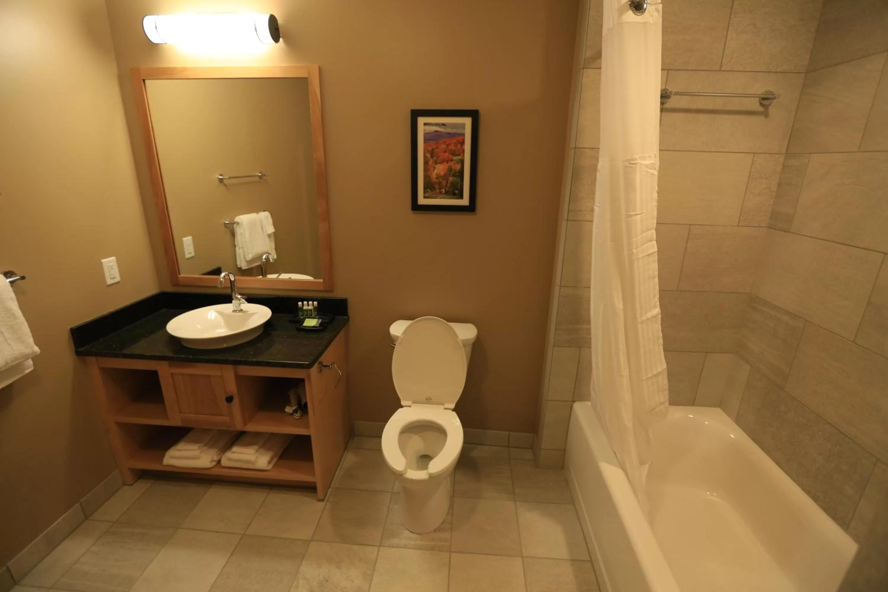 Bathroom in Burke Mountain Hotel