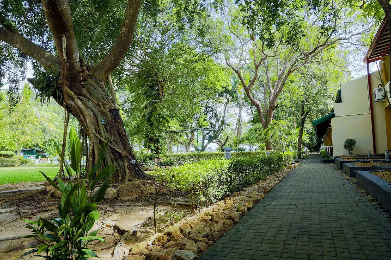 Garden in Miridiya Lake Resort