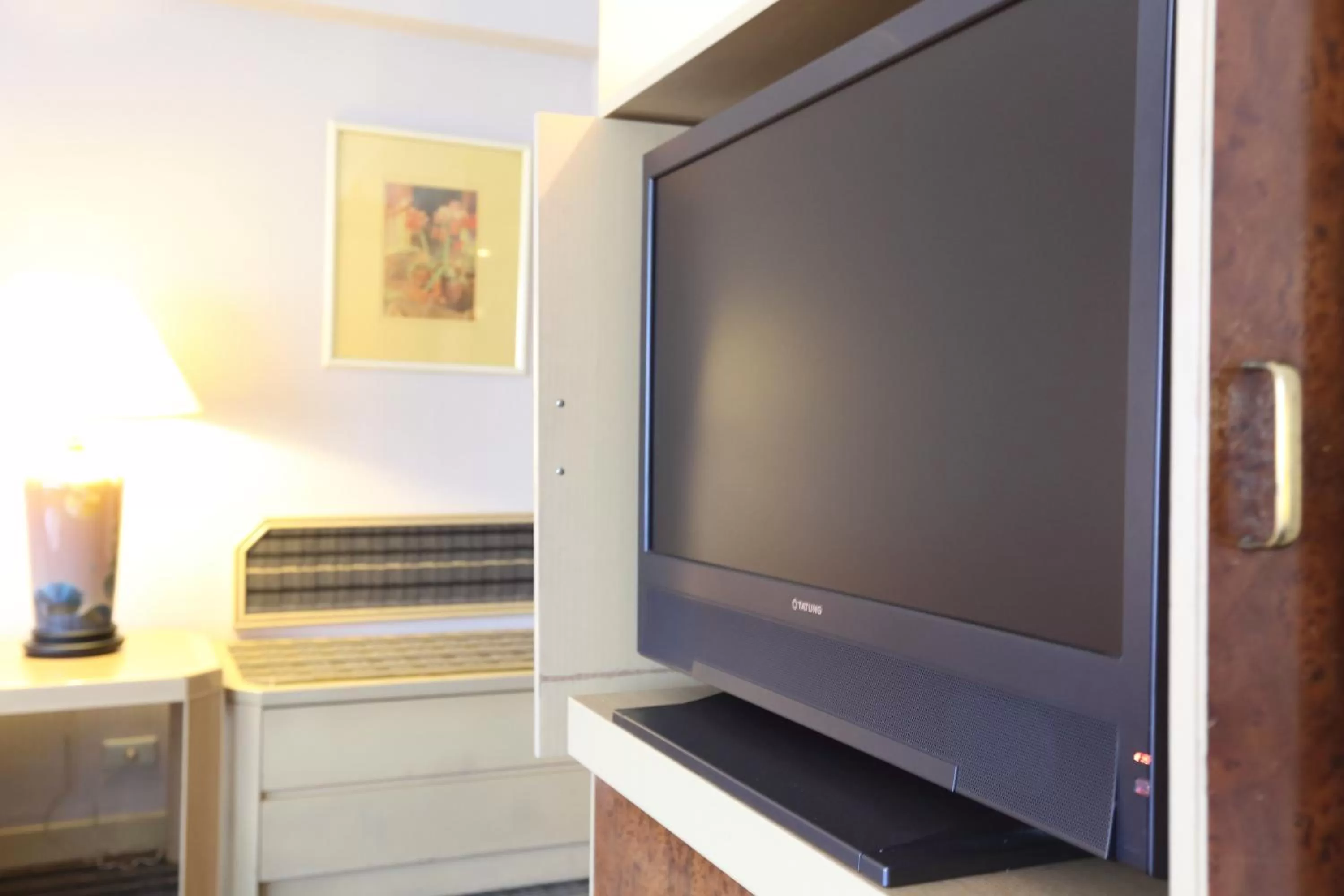 TV and multimedia in Santos Hotel