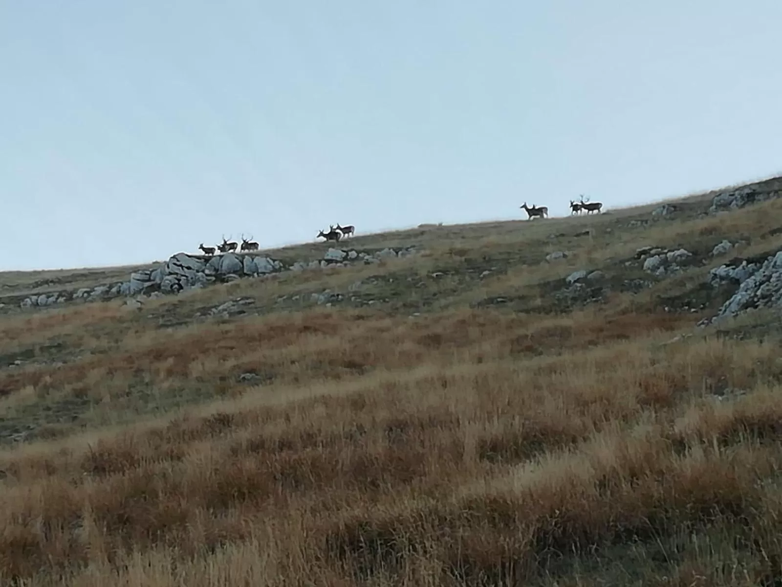 Natural landscape in B&B Ponte Rio