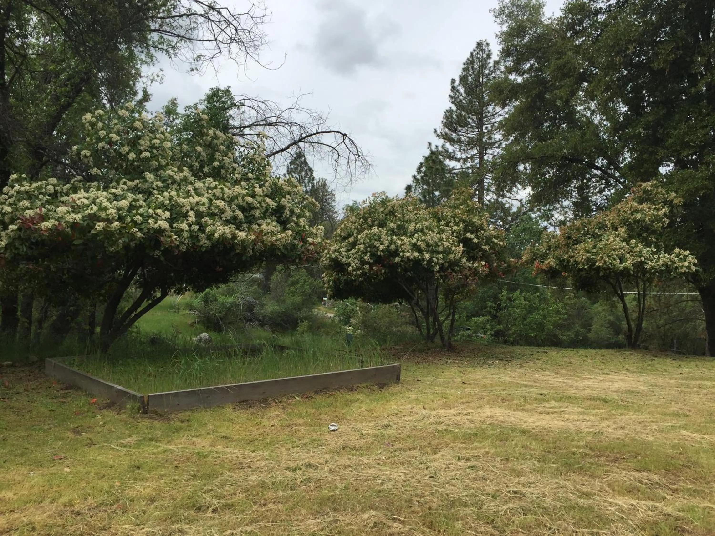 Day in Mountain Trail Lodge and Vacation Rentals