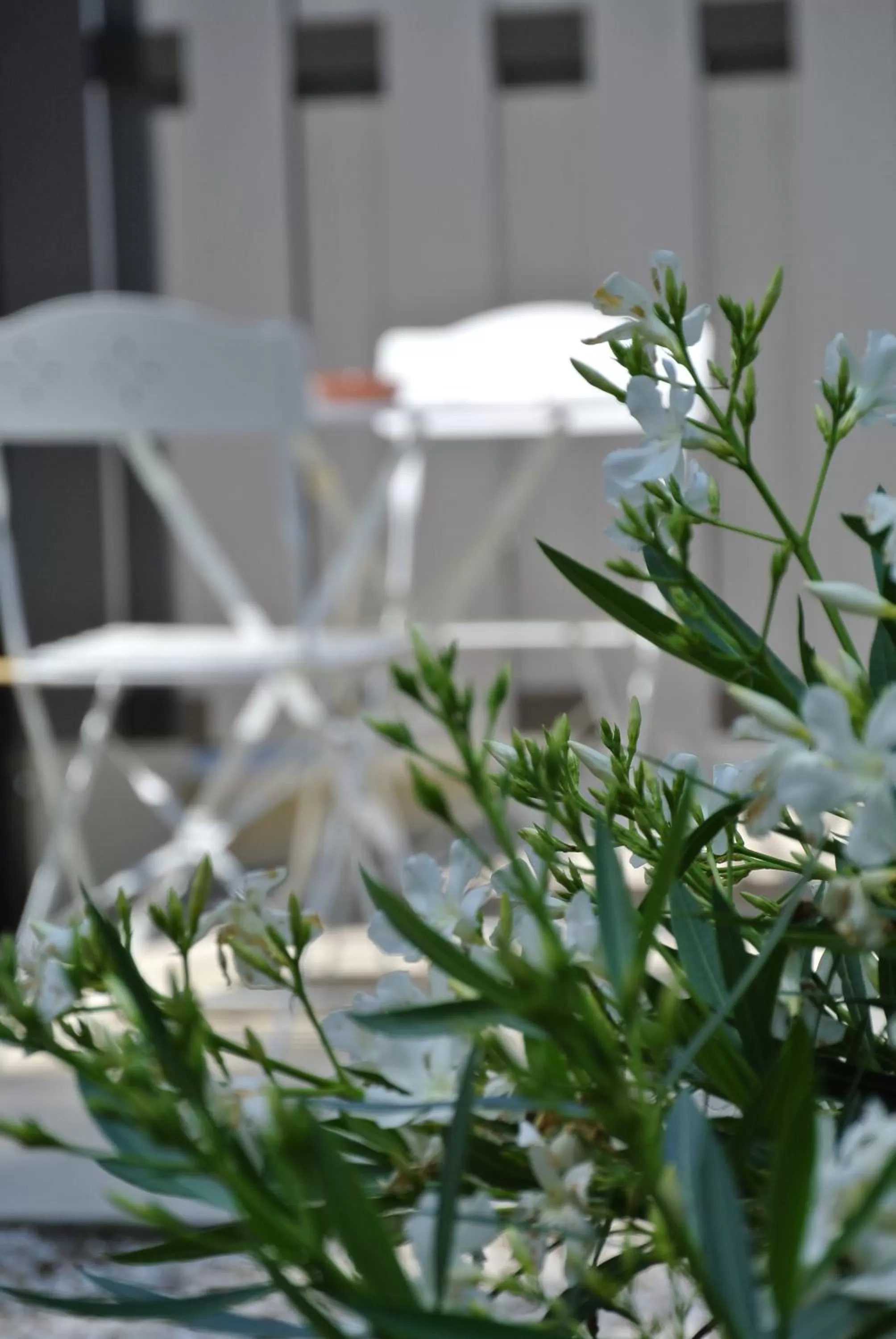 CARPE DIEM Résidence Hôtelière