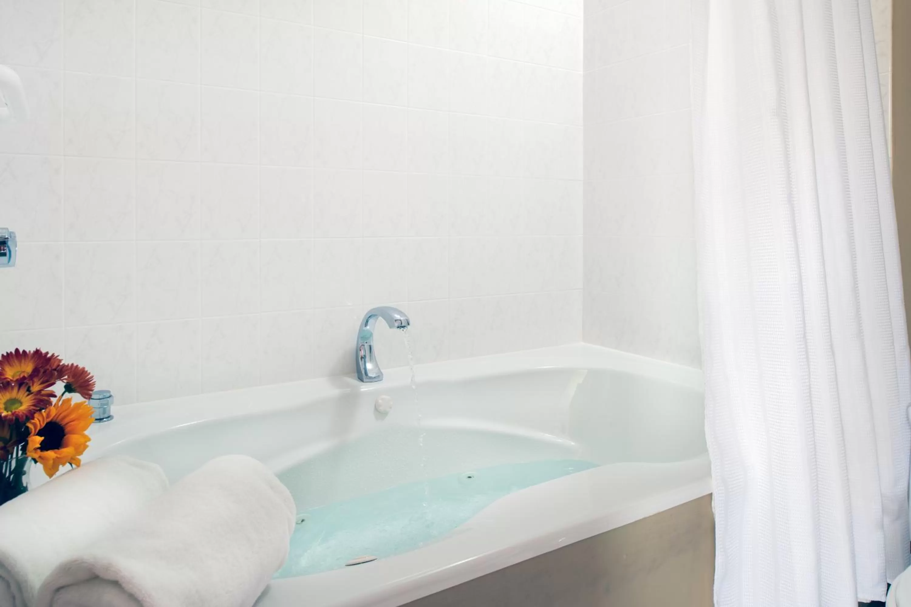 Bathroom in Palmer House Inn