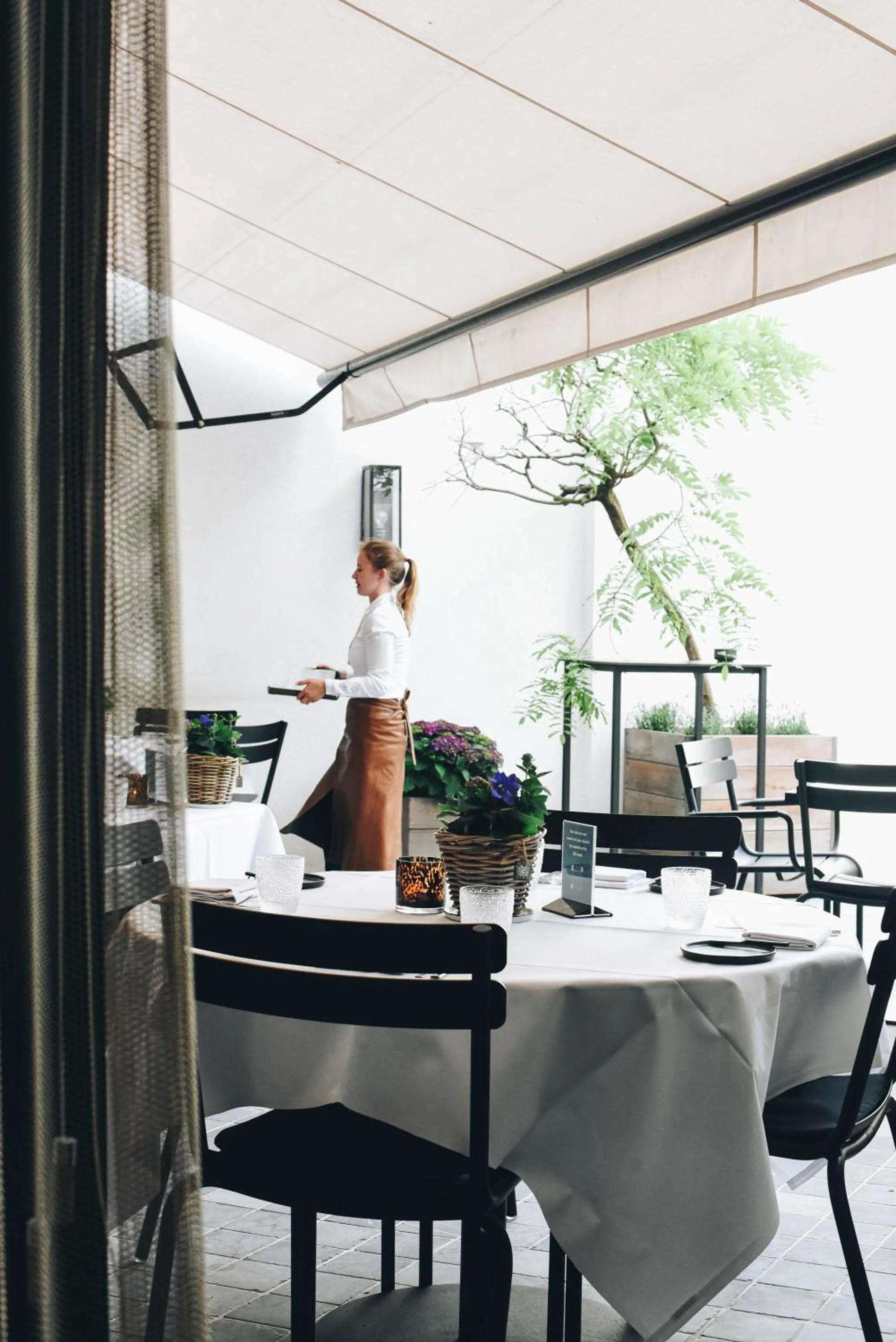 Restaurant/places to eat in Hotel FRANQ