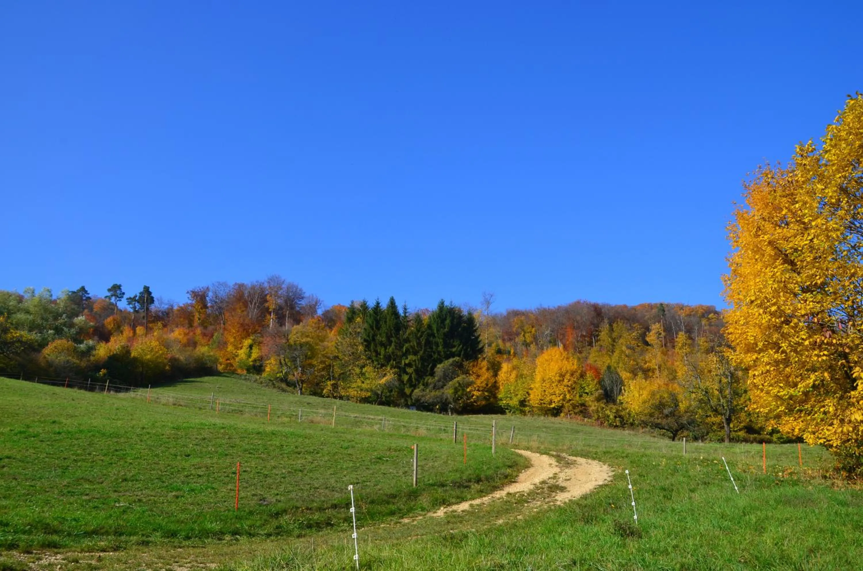 Natural landscape in Bad Schauenburg