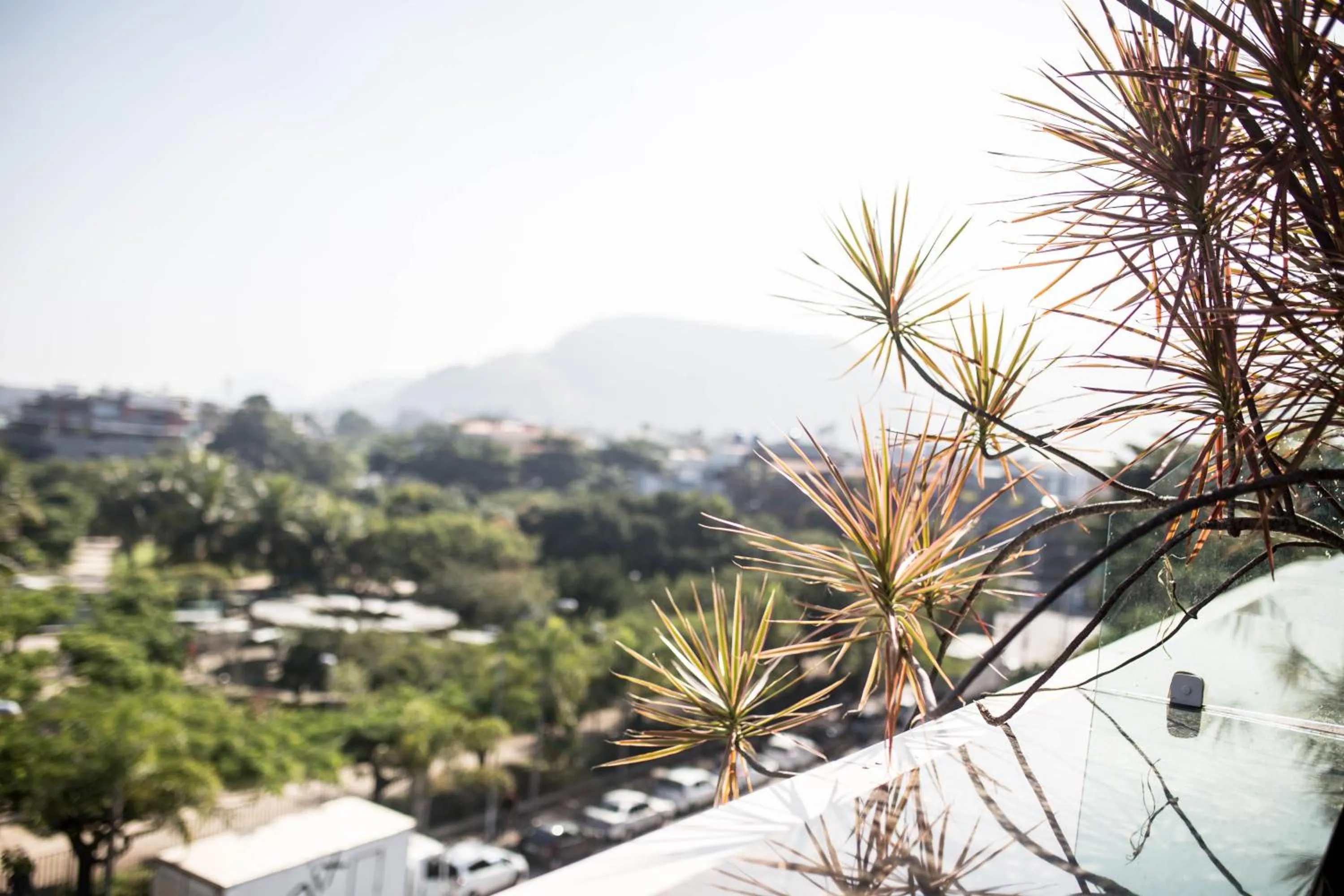 Day in Américas Gaivota Hotel