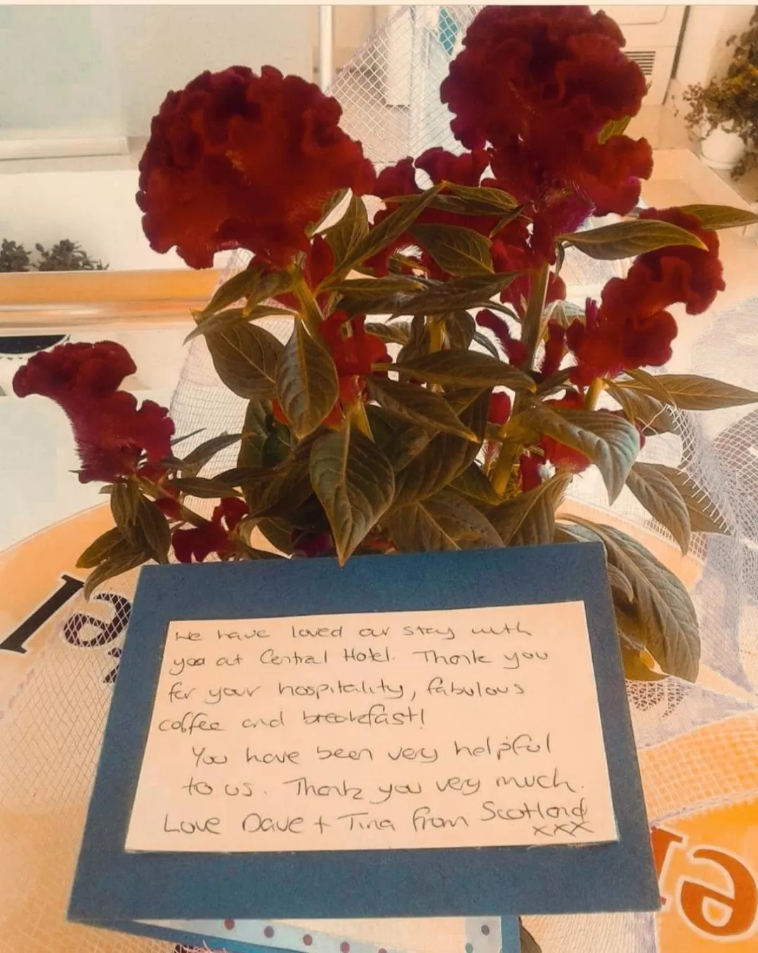 Decorative detail in Tirana Central GuestHouse