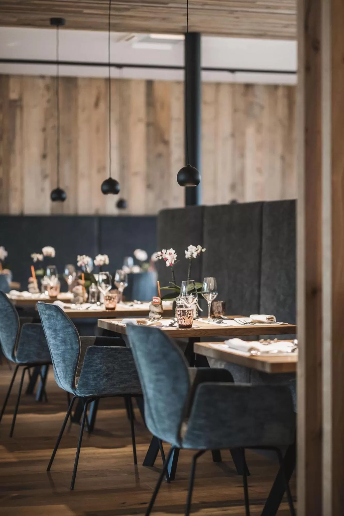 Restaurant/places to eat in Autentis