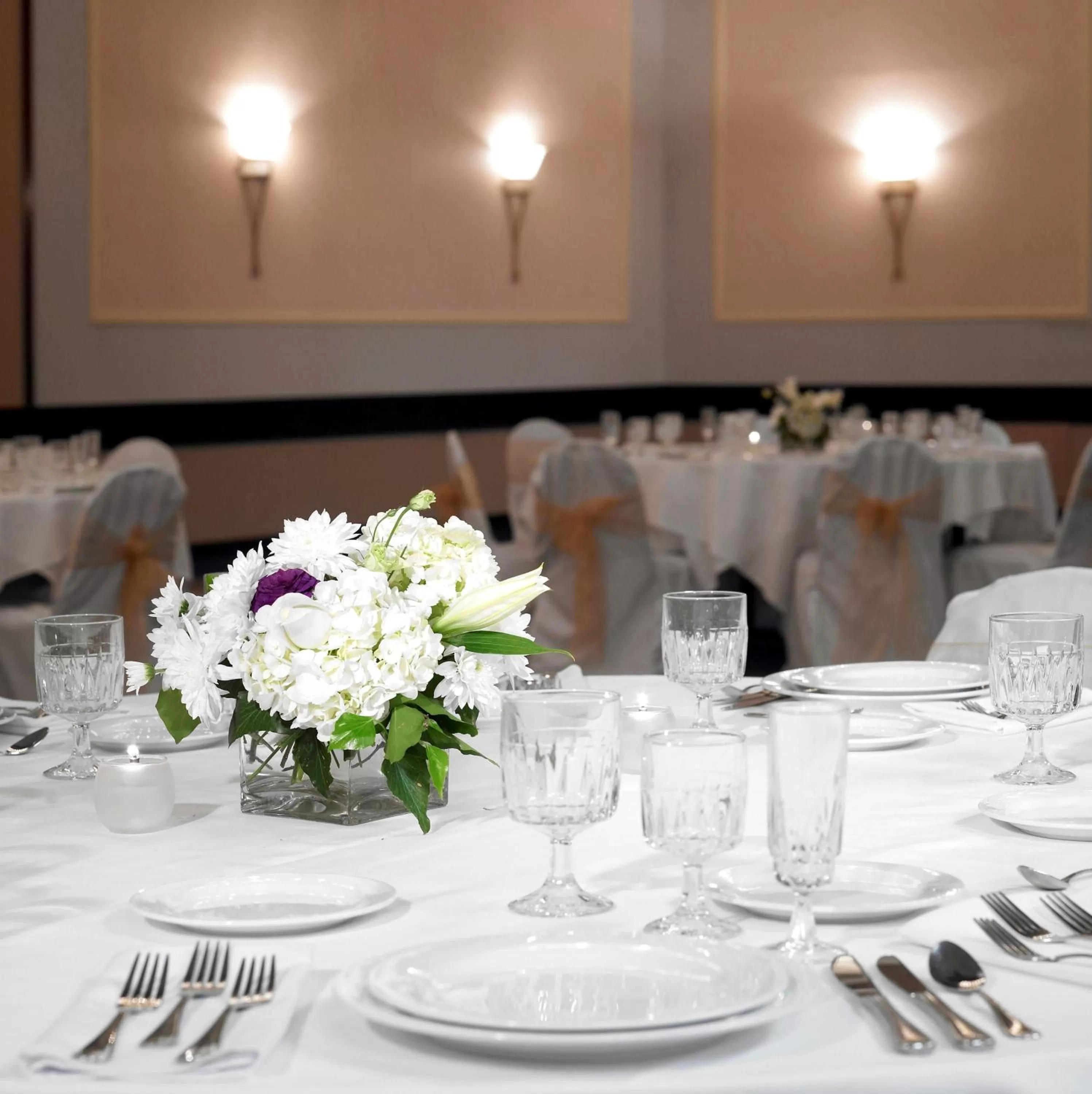 On site in Hyatt Regency Buffalo