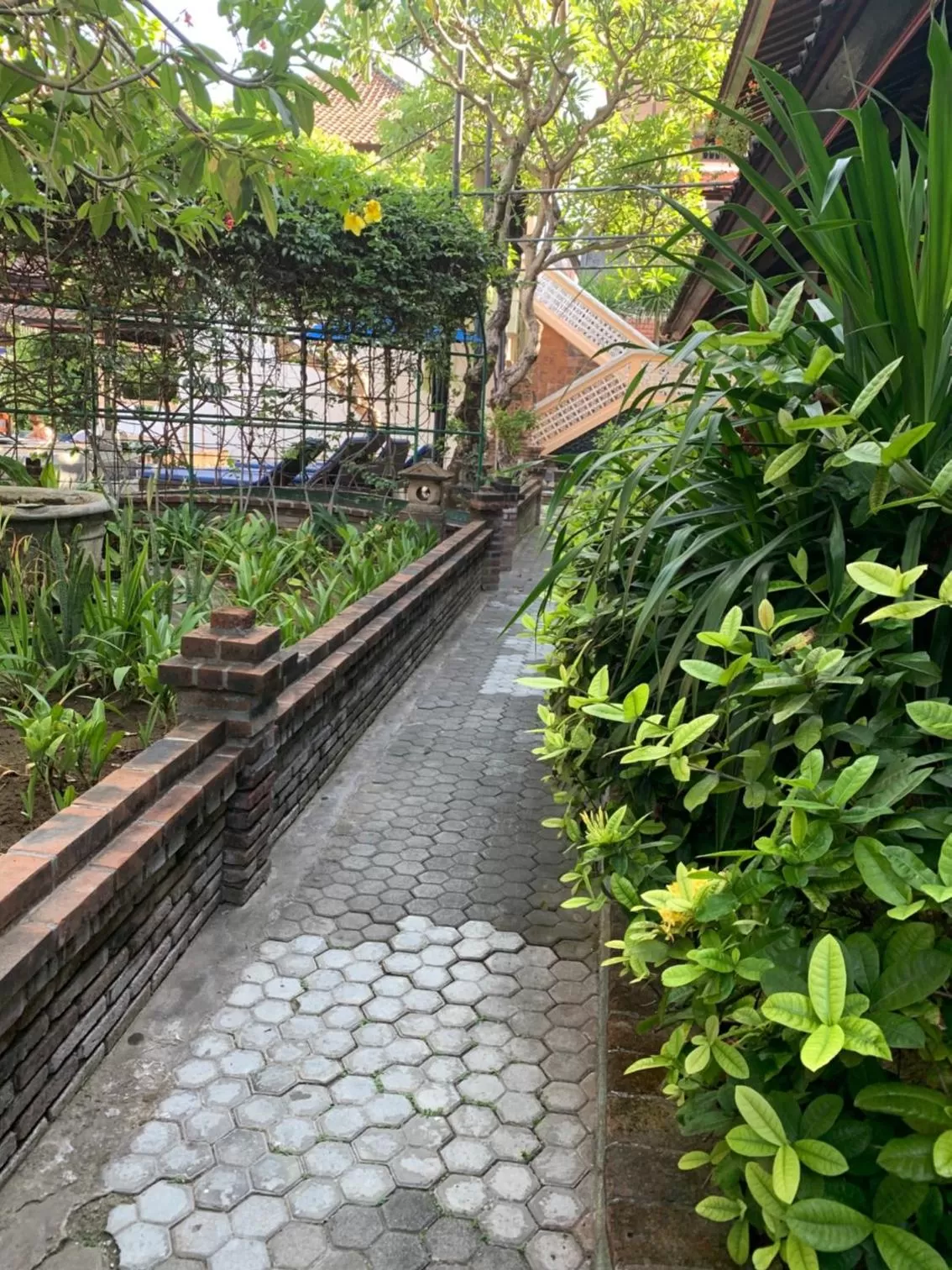 Garden view in Fat Yogi Cottages