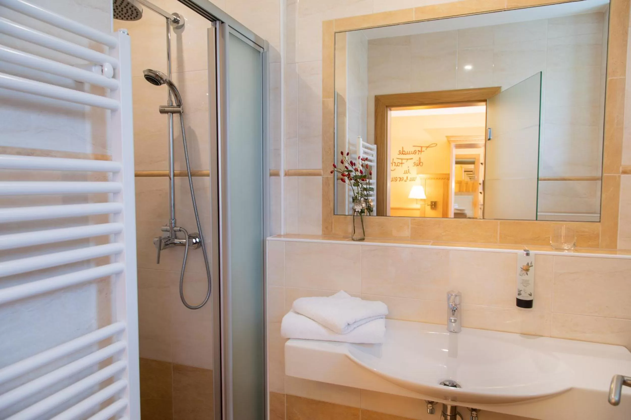 Bathroom in Bed and Breakfast Mittelkärnten