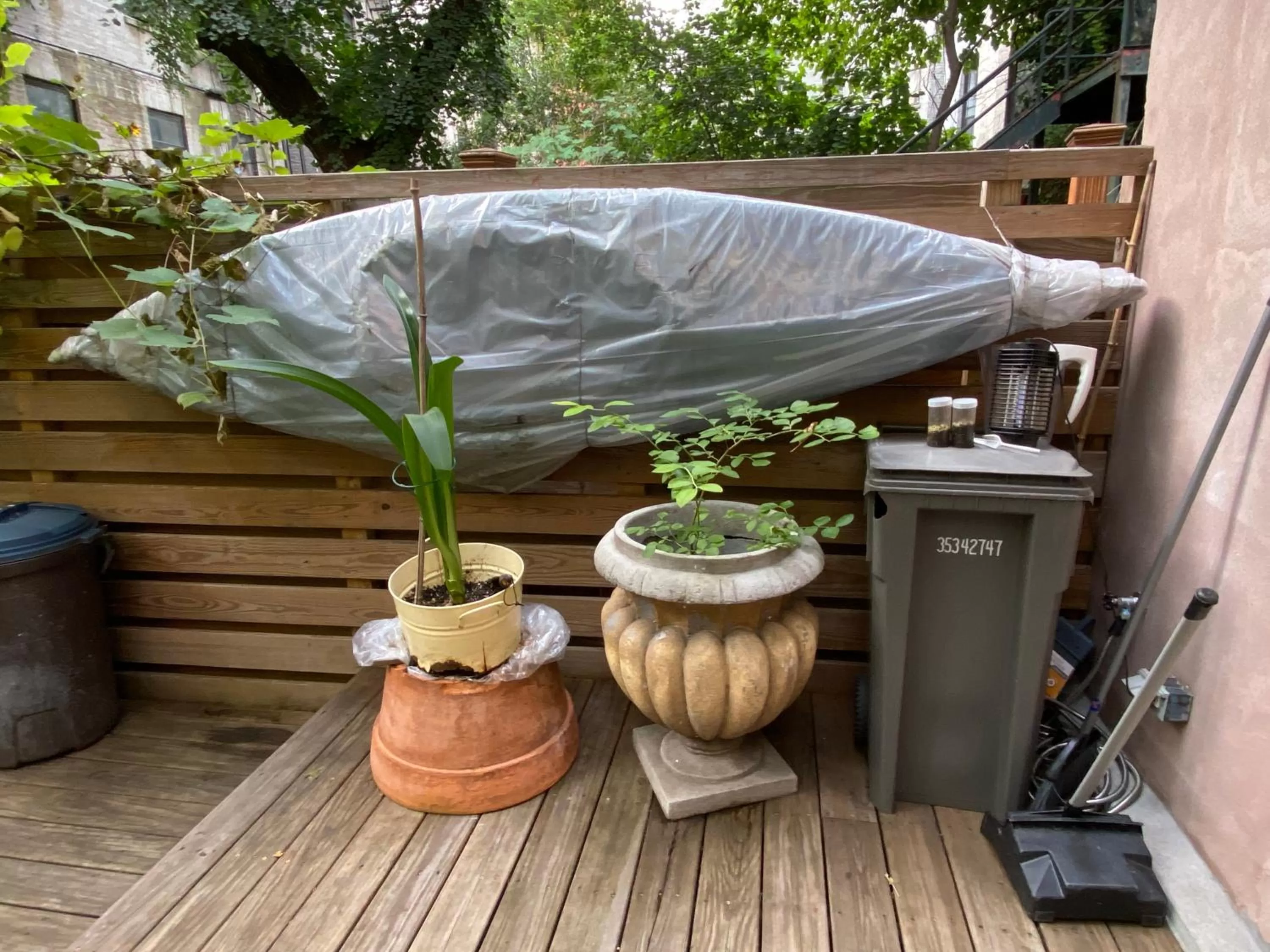 Property building in Northern Lights Mansion