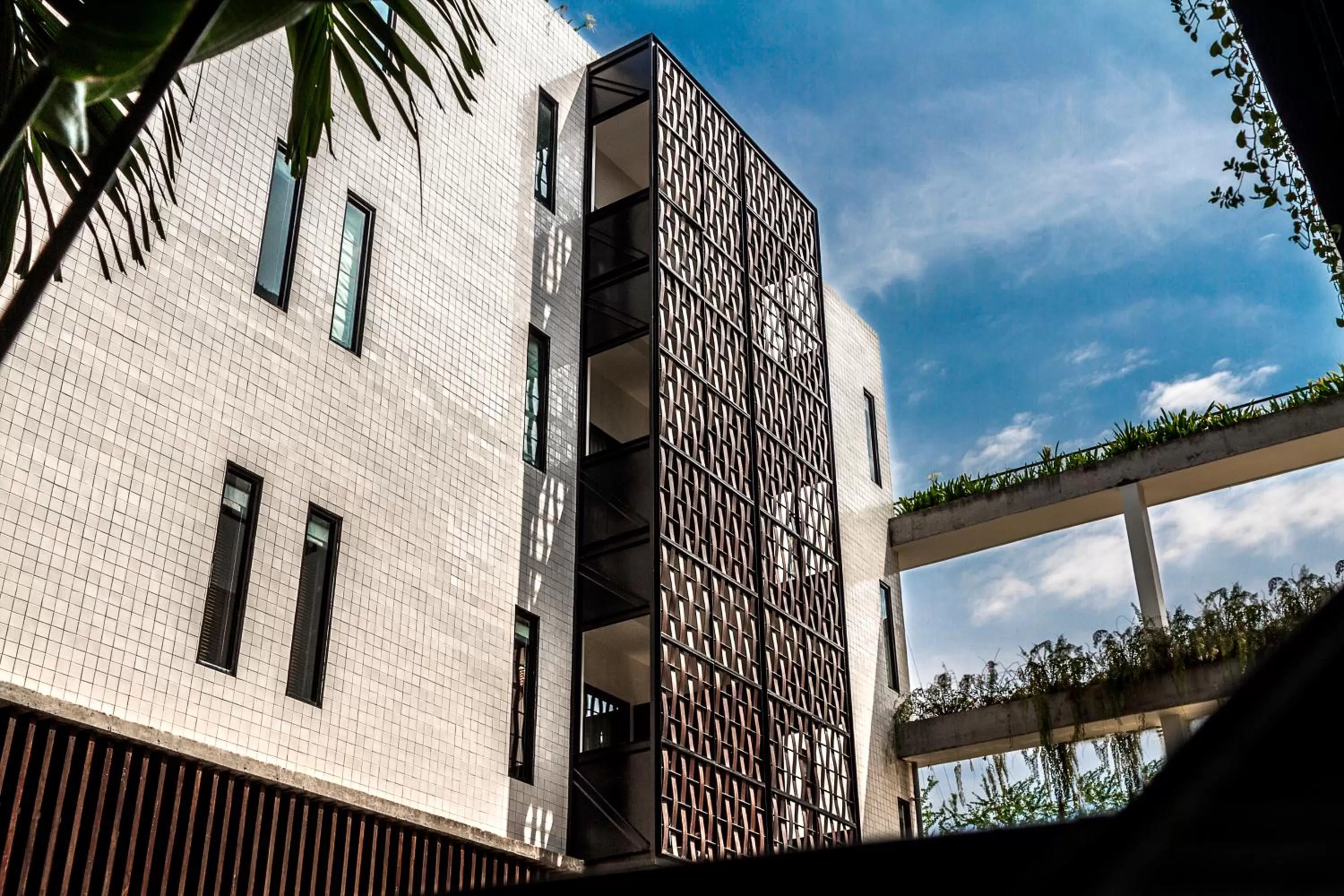 View (from property/room) in The Aviary Hotel