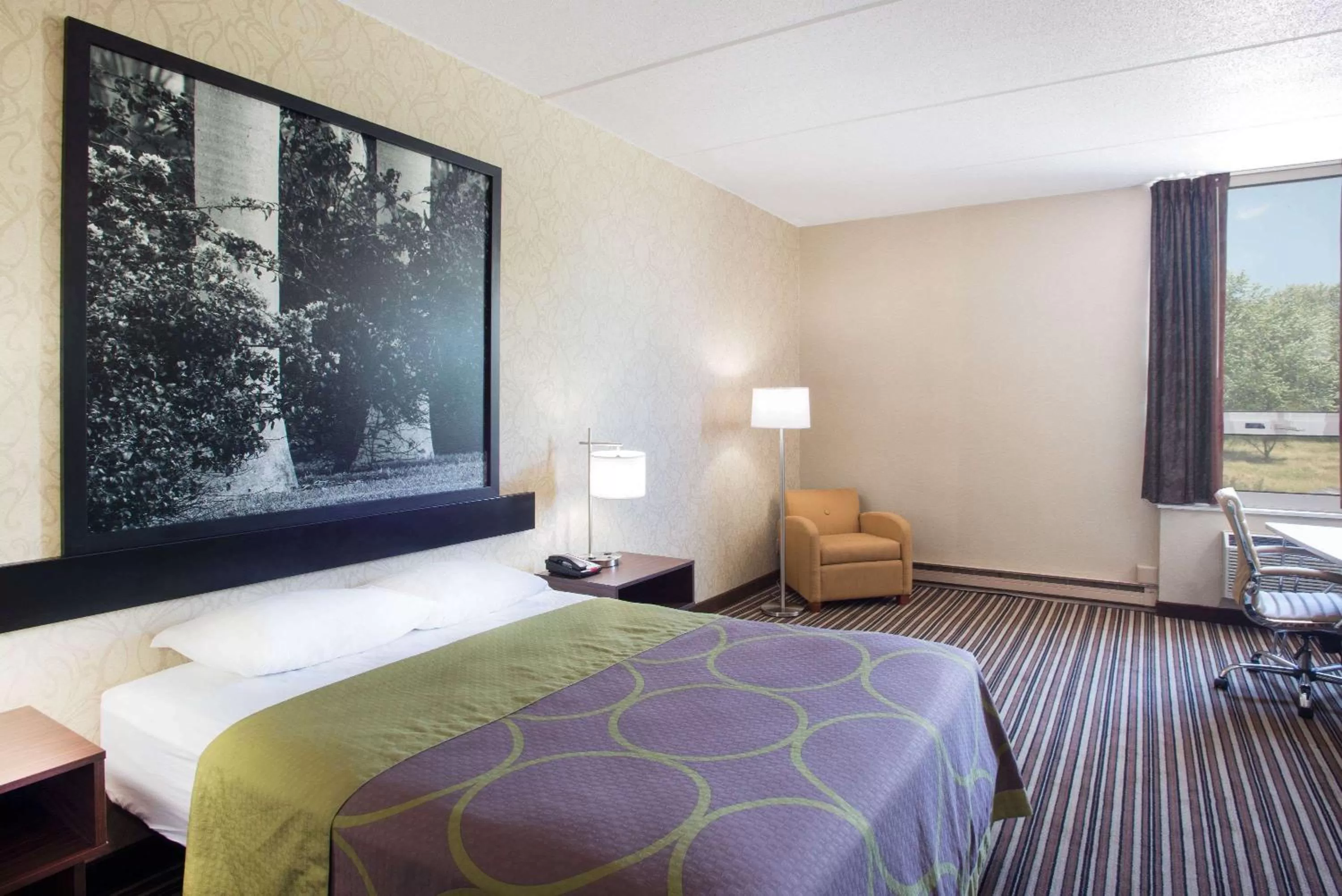 Photo of the whole room, Bed in Super 8 by Wyndham Plattsburgh