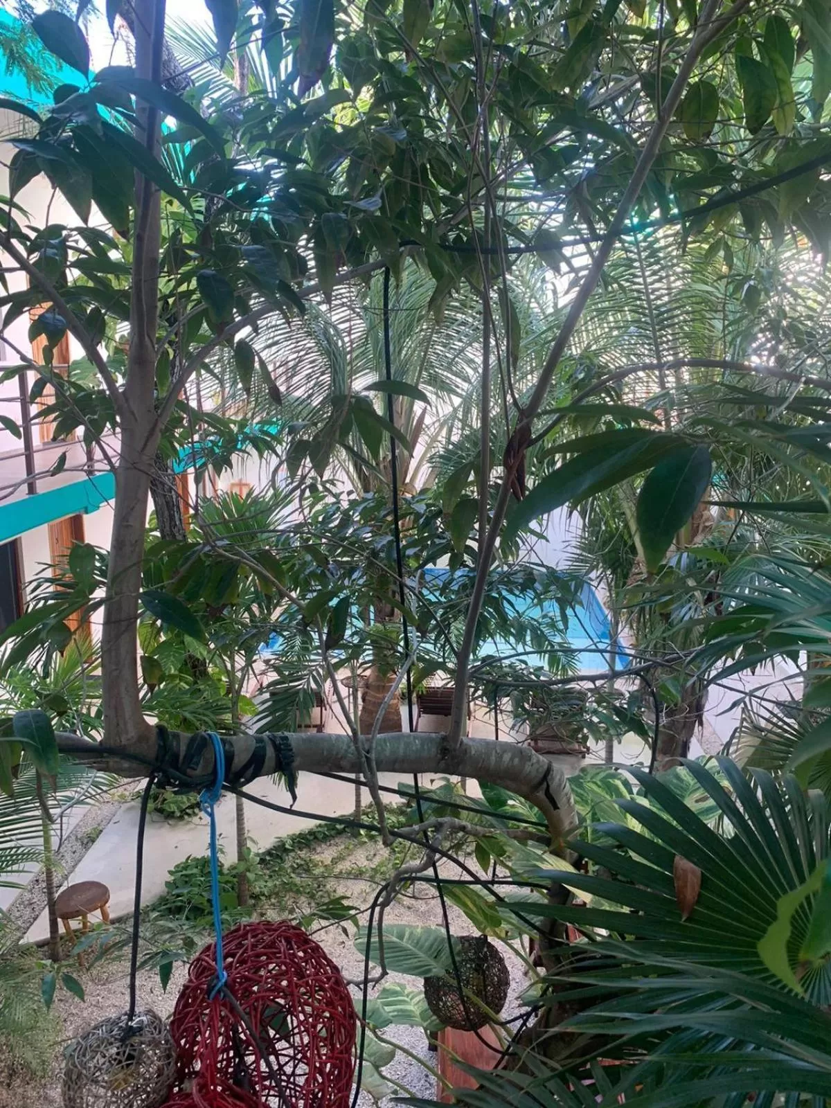 Property building in Los Arcos Hotel - TULUM