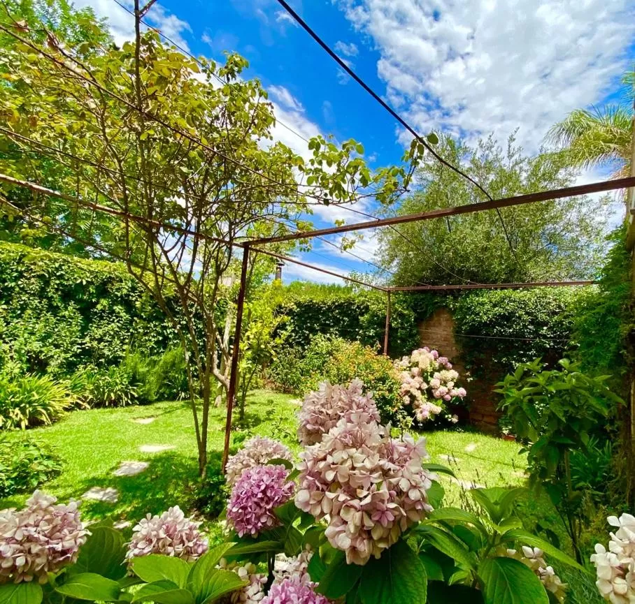 Garden in Hotel Villa Inés Mendoza