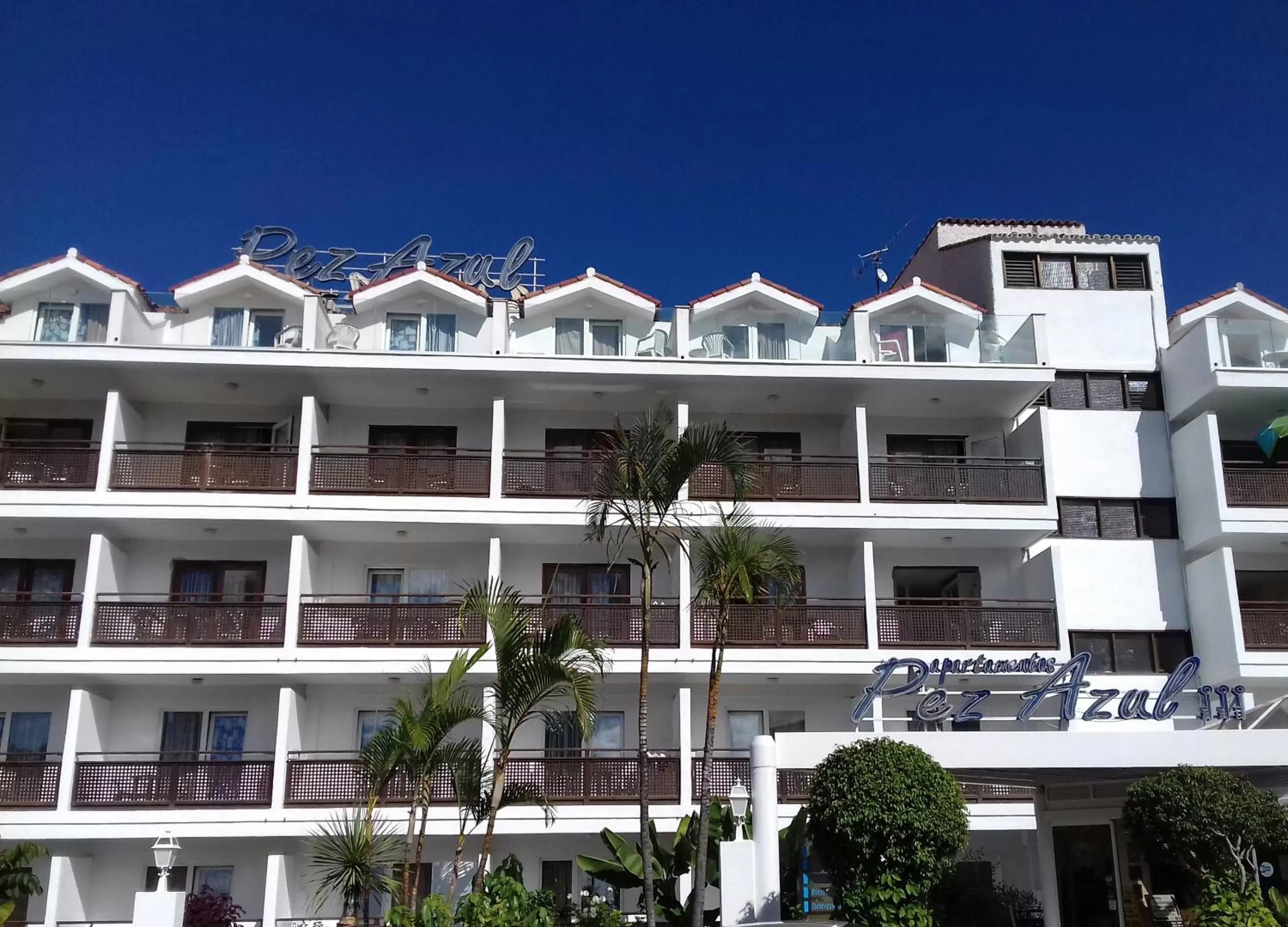 Property building in Apartamentos Pez Azul