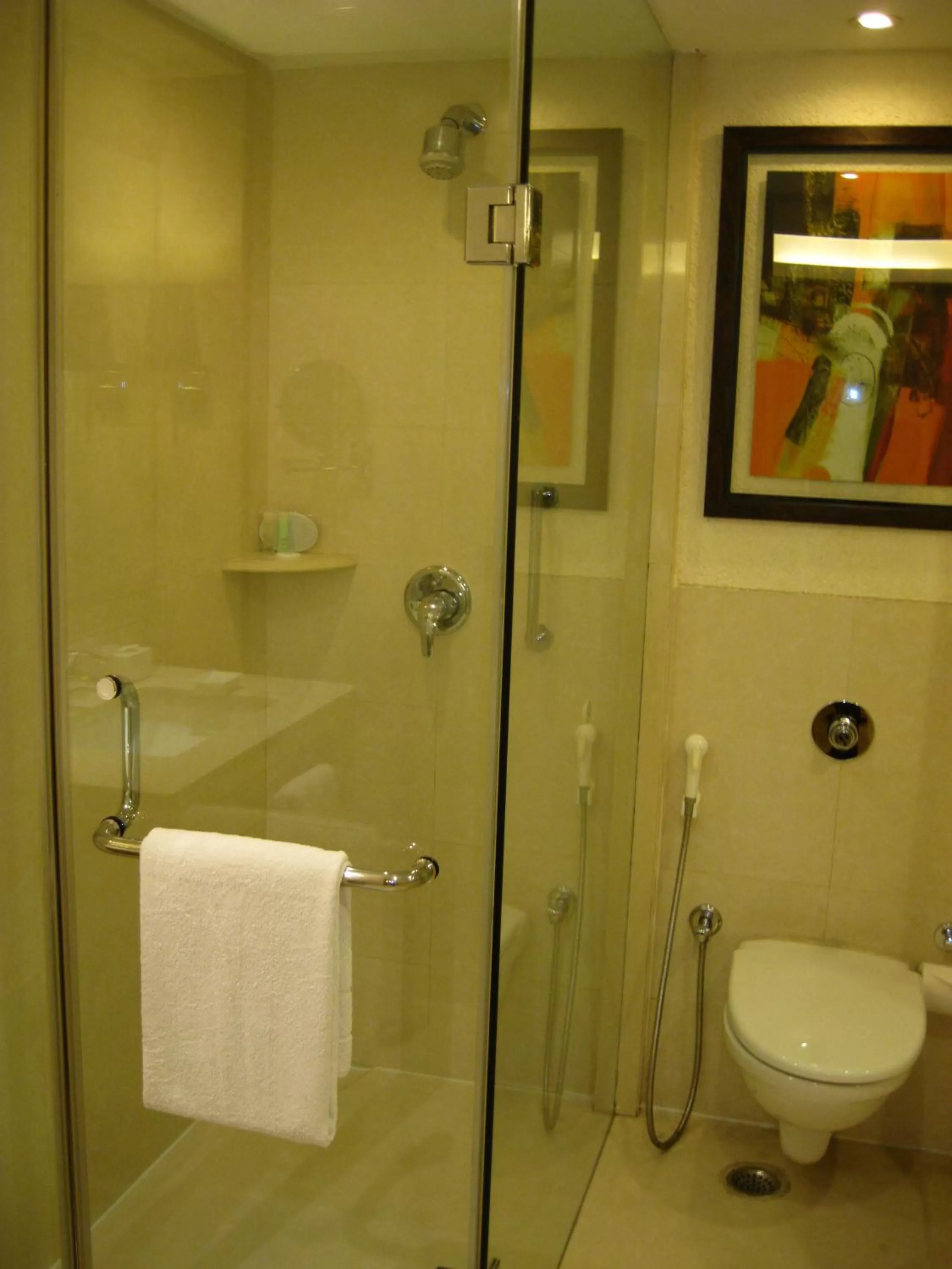 Bathroom in The Sonnet Kolkata