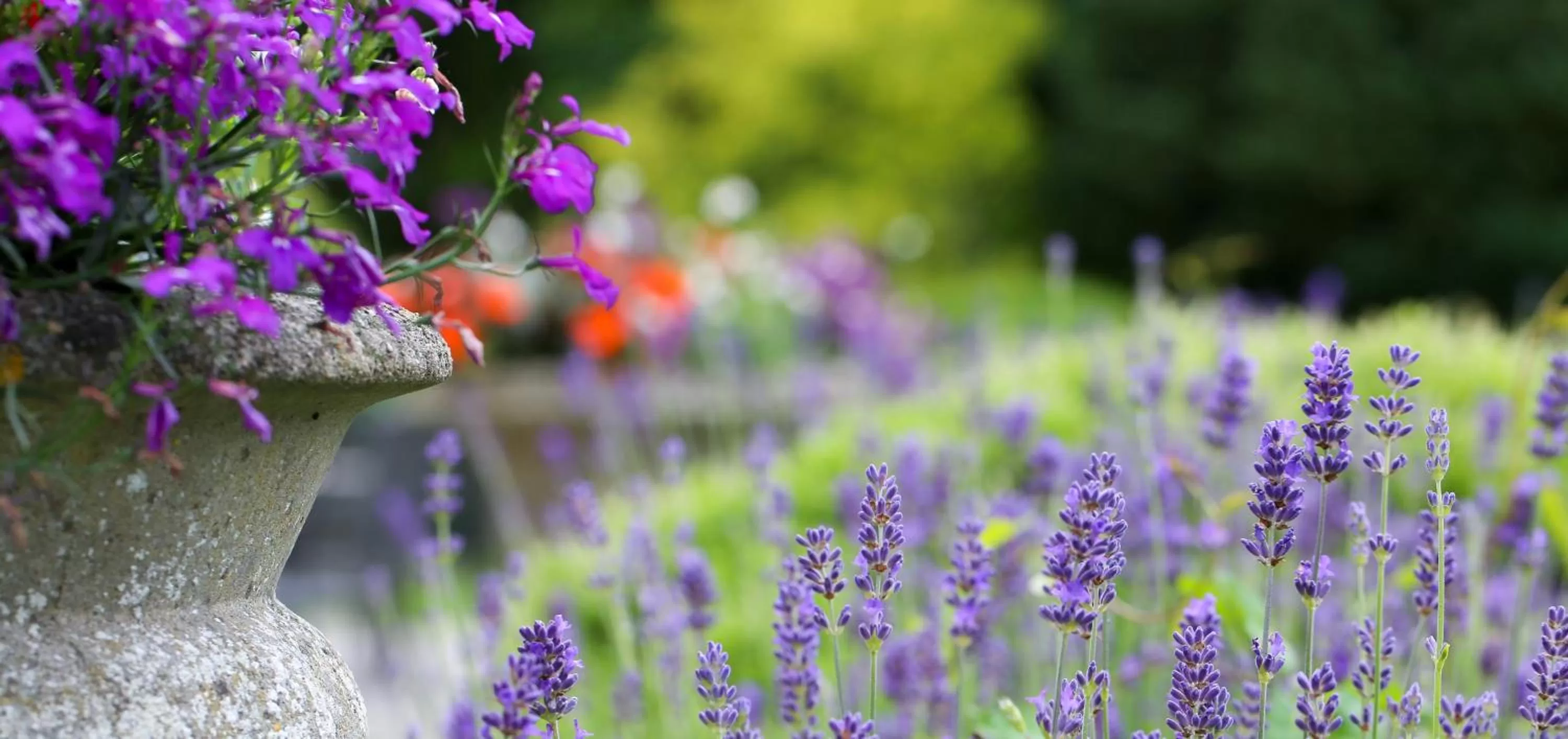 Property building in Stratton House Hotel & Spa