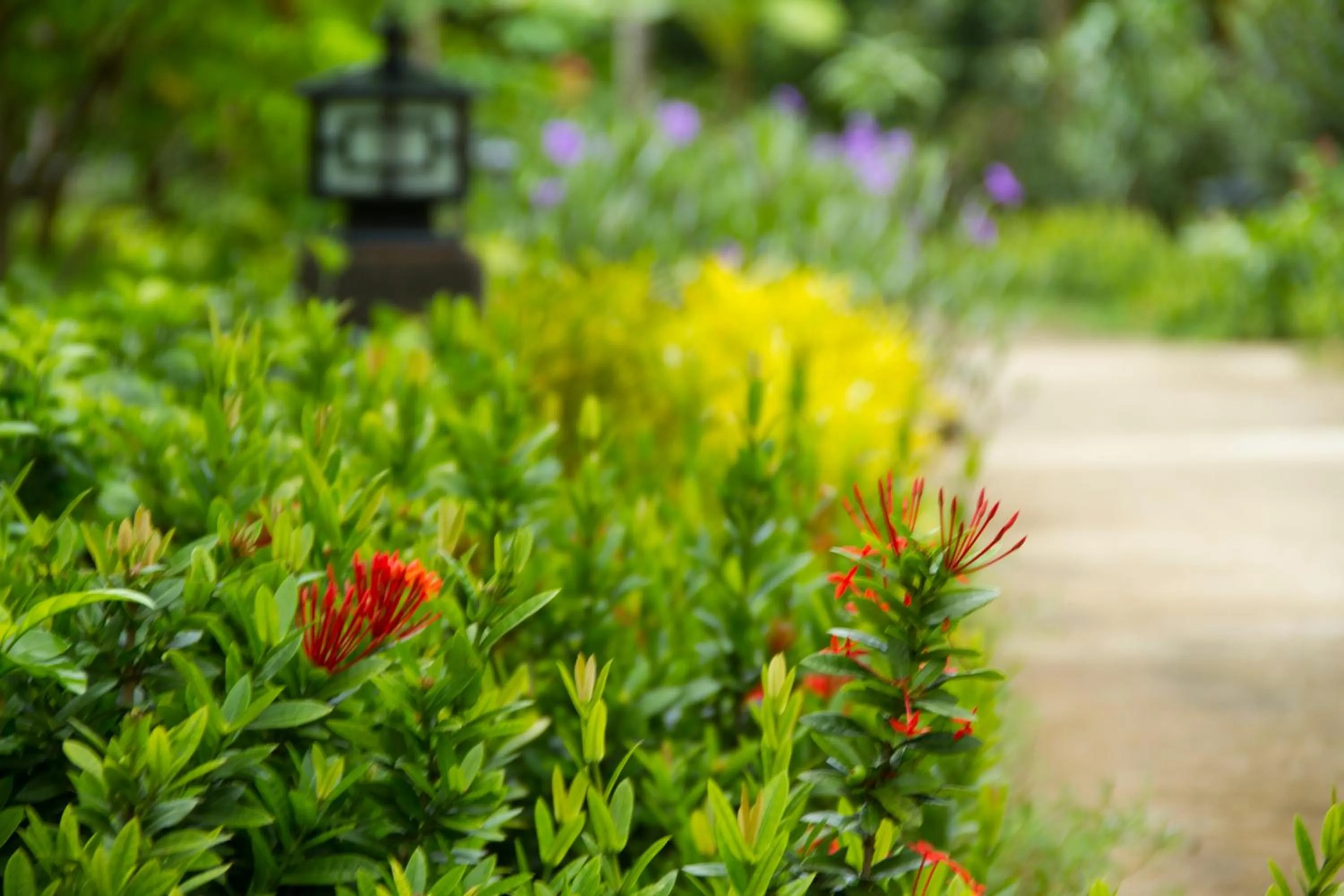 Garden in Elwood Premier Resort Phu Quoc
