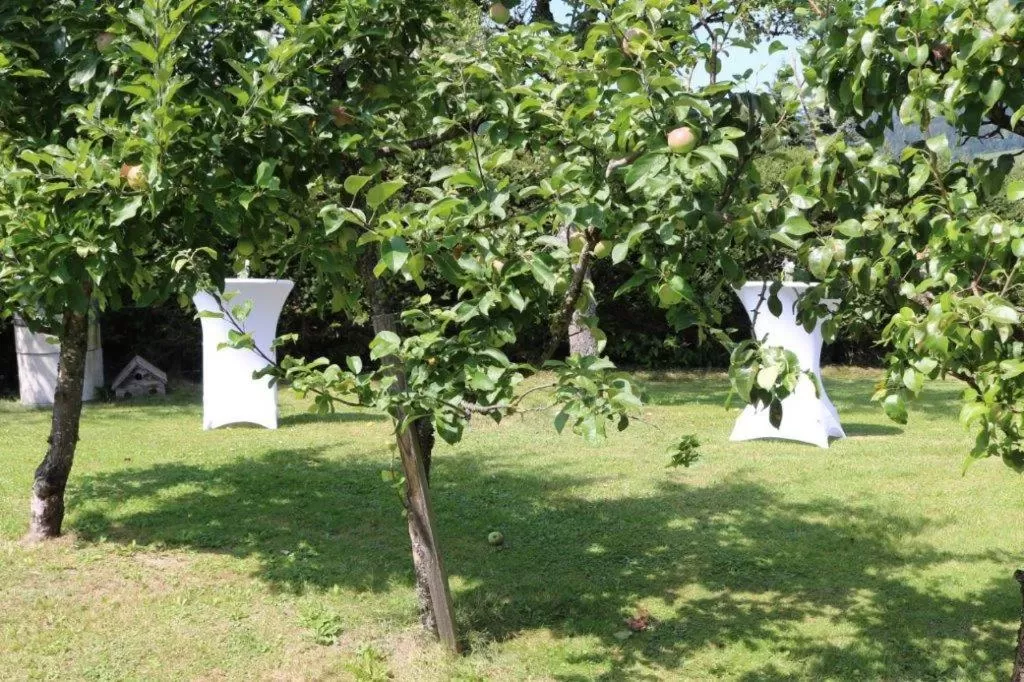 Garden in Scheffer's Hotel