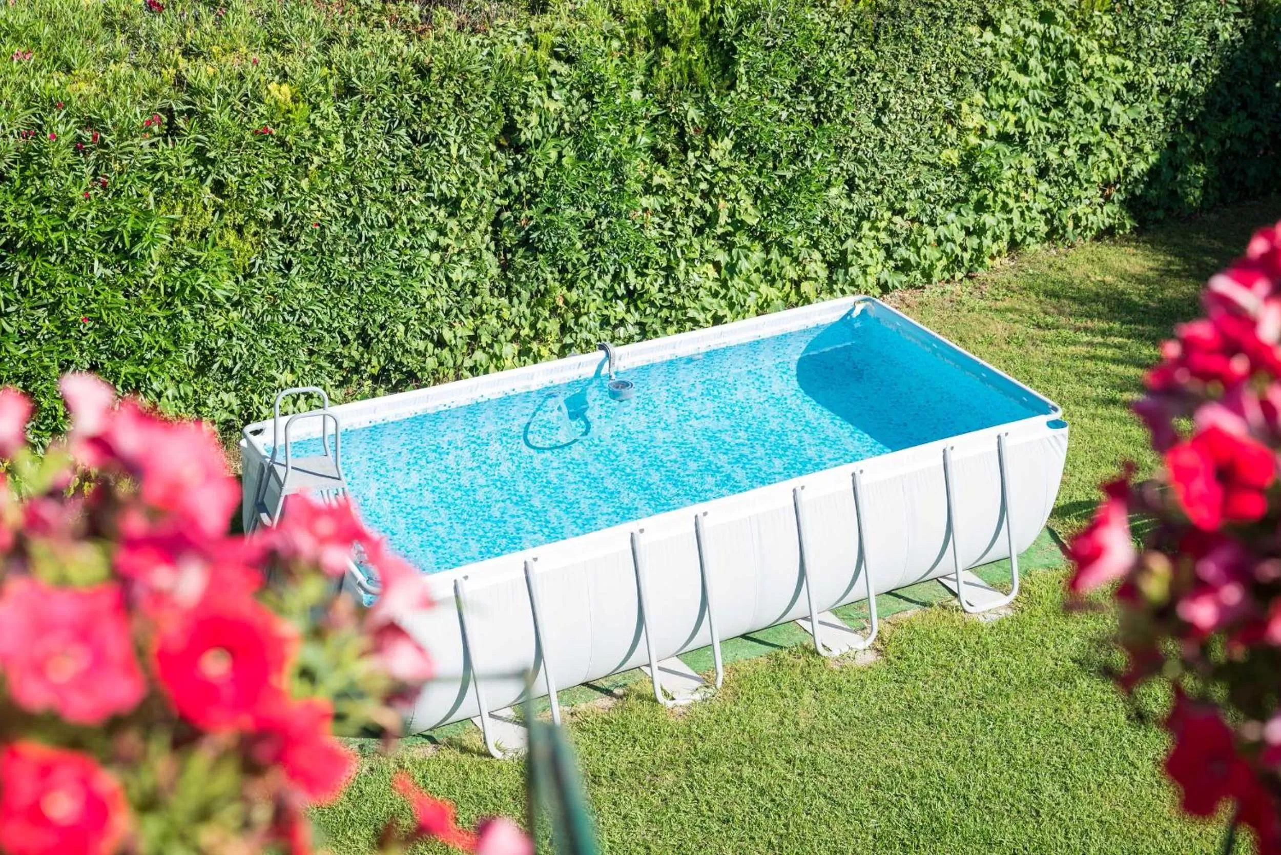 Swimming pool in B&B Il Girasole