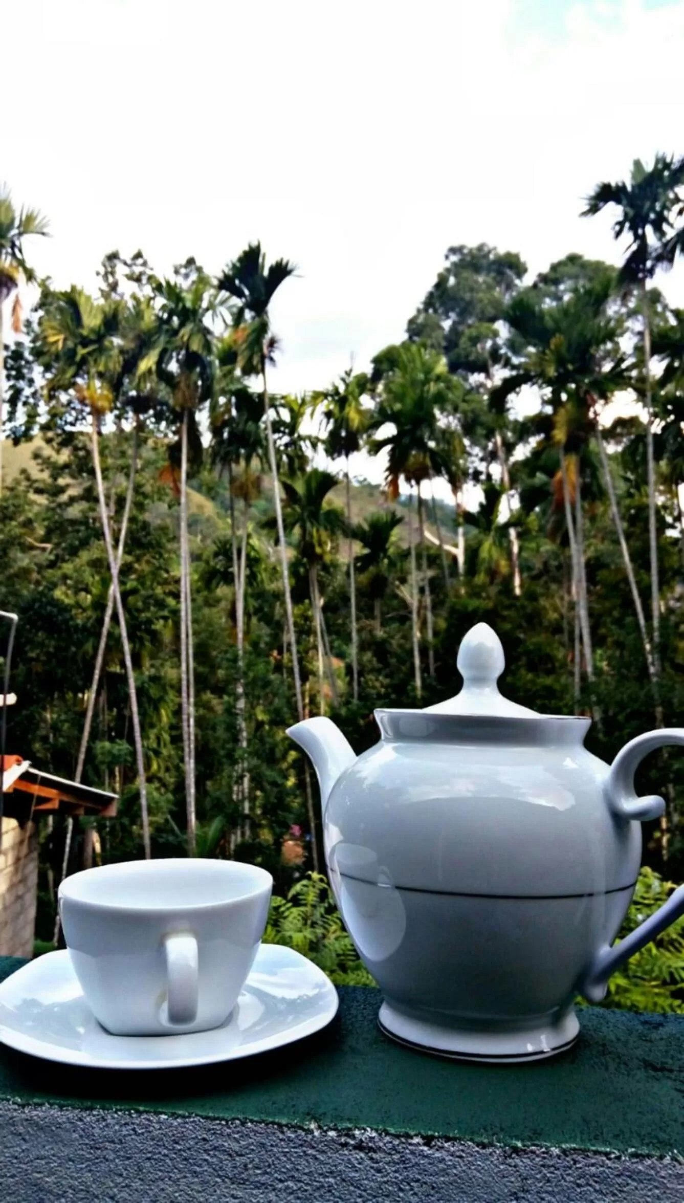Coffee/tea facilities in Cozy Homestay Waterfall Road Ella