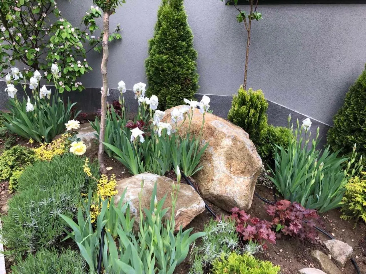 Day in All Seasons Residence Design Hotel - Free parking