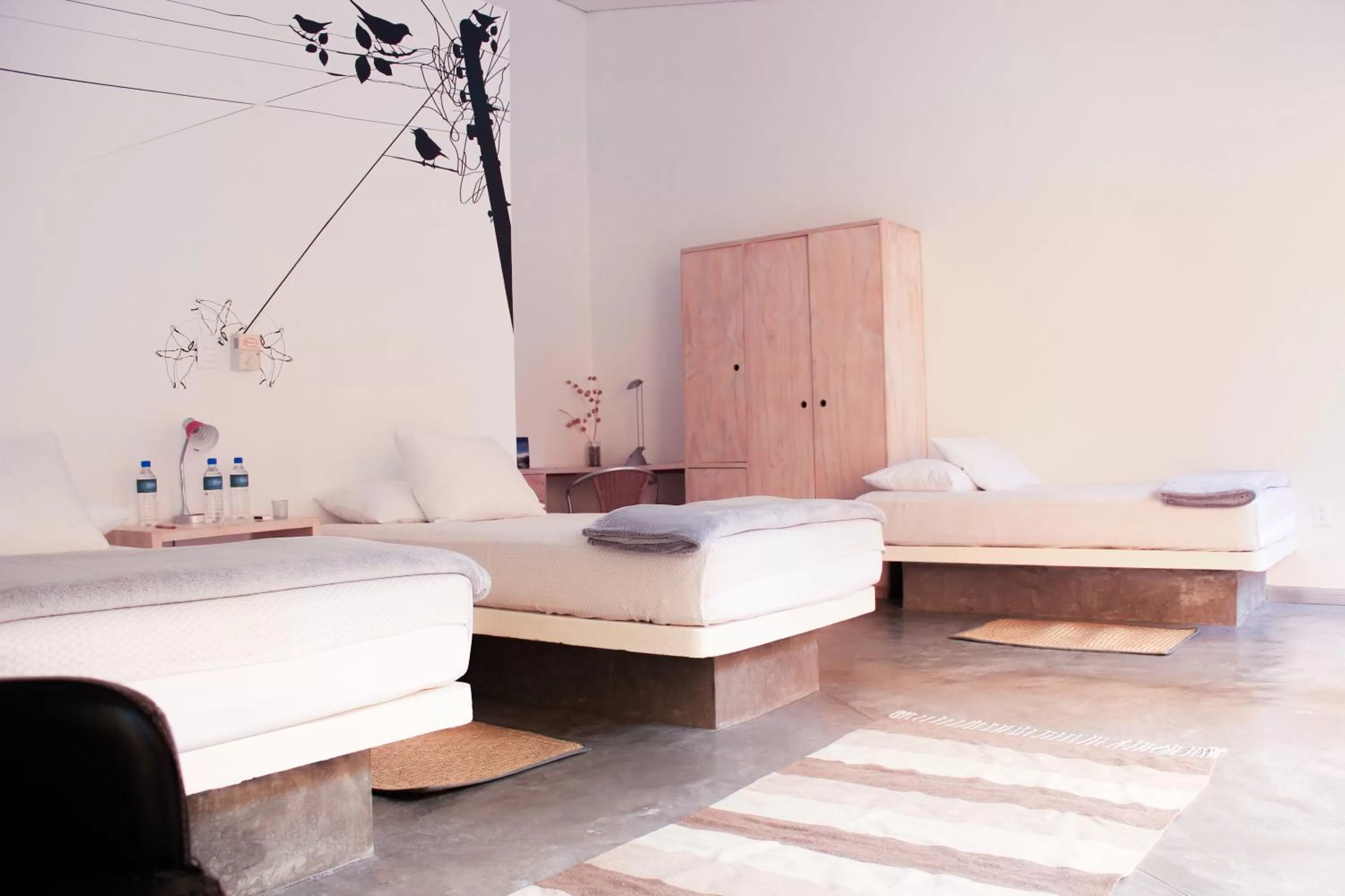 Photo of the whole room, Bed in Hotel Cosijo - San Jeronimo Tlacochahuaya