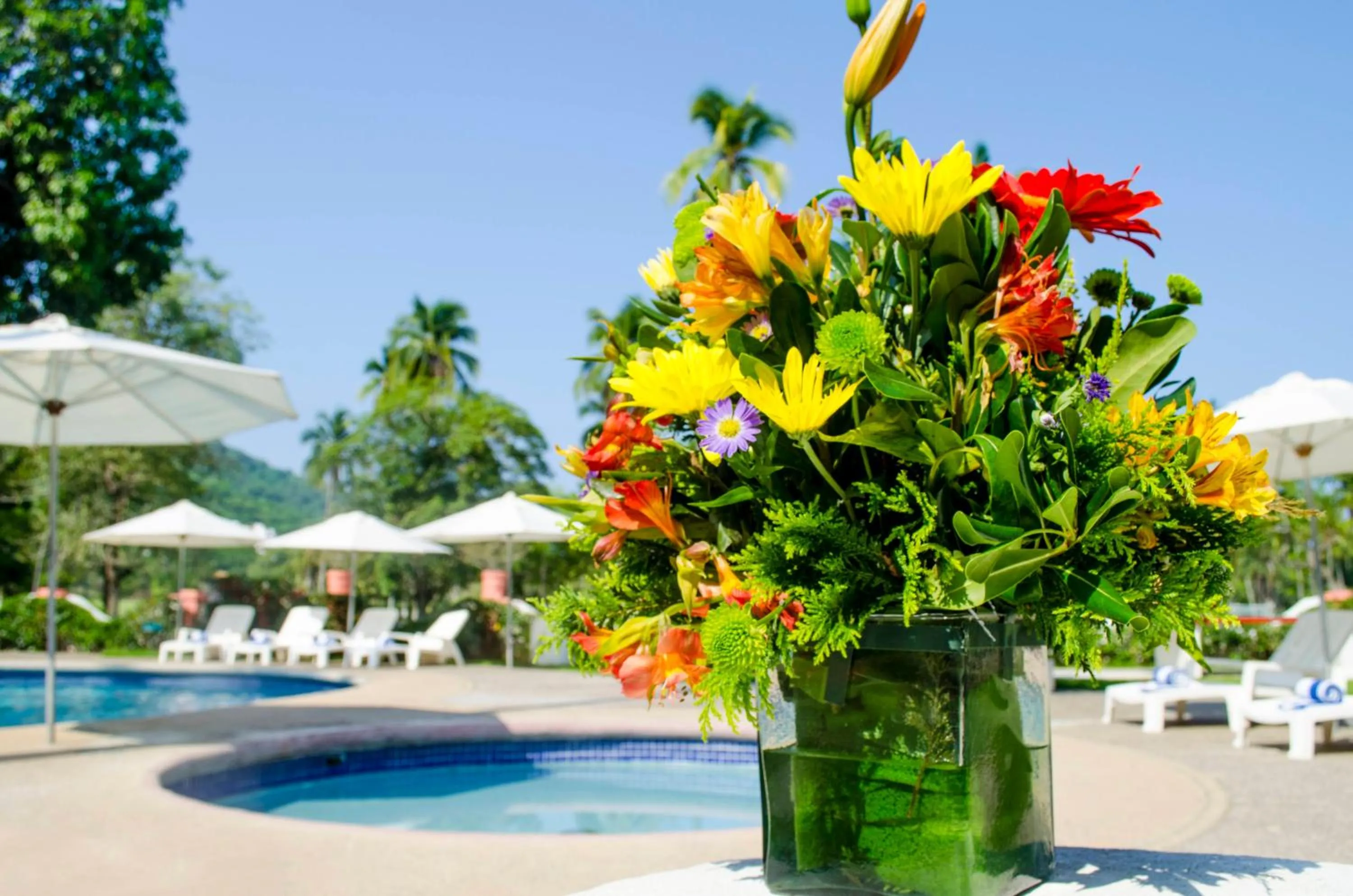 Area and facilities in Coral Ixtapa