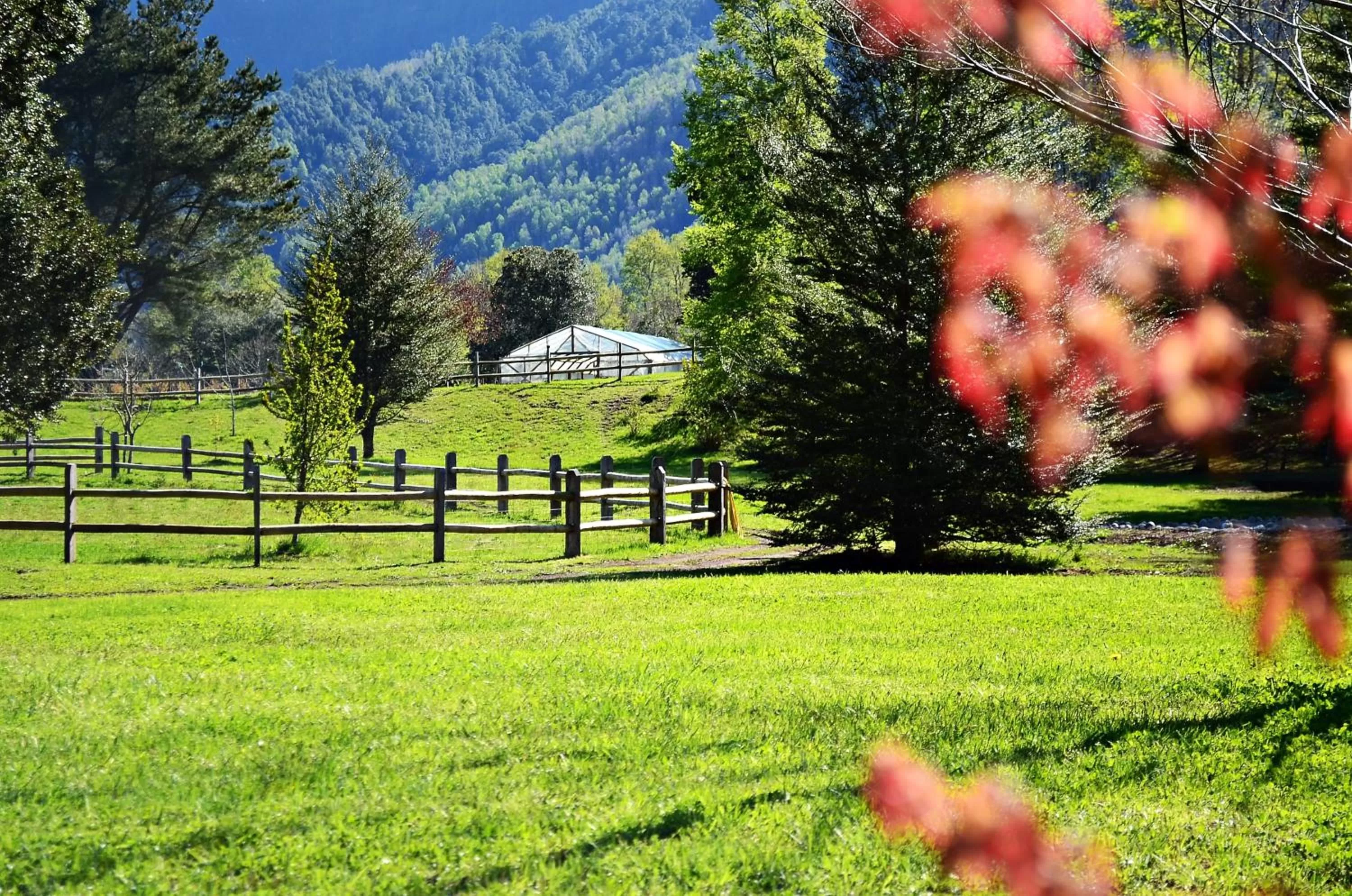 Garden in Hotel Salto del Carileufu