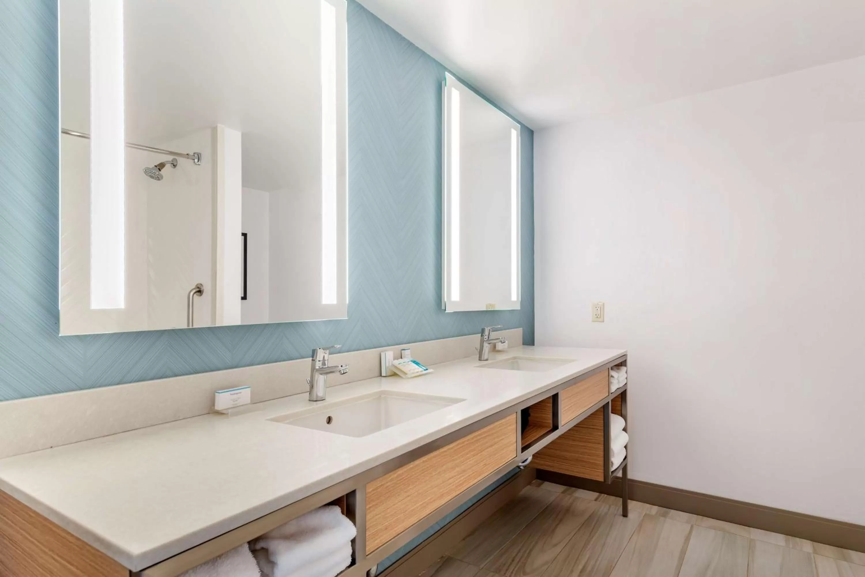 Bathroom in Hilton Garden Inn Atlanta Northeast/Gwinnett Sugarloaf