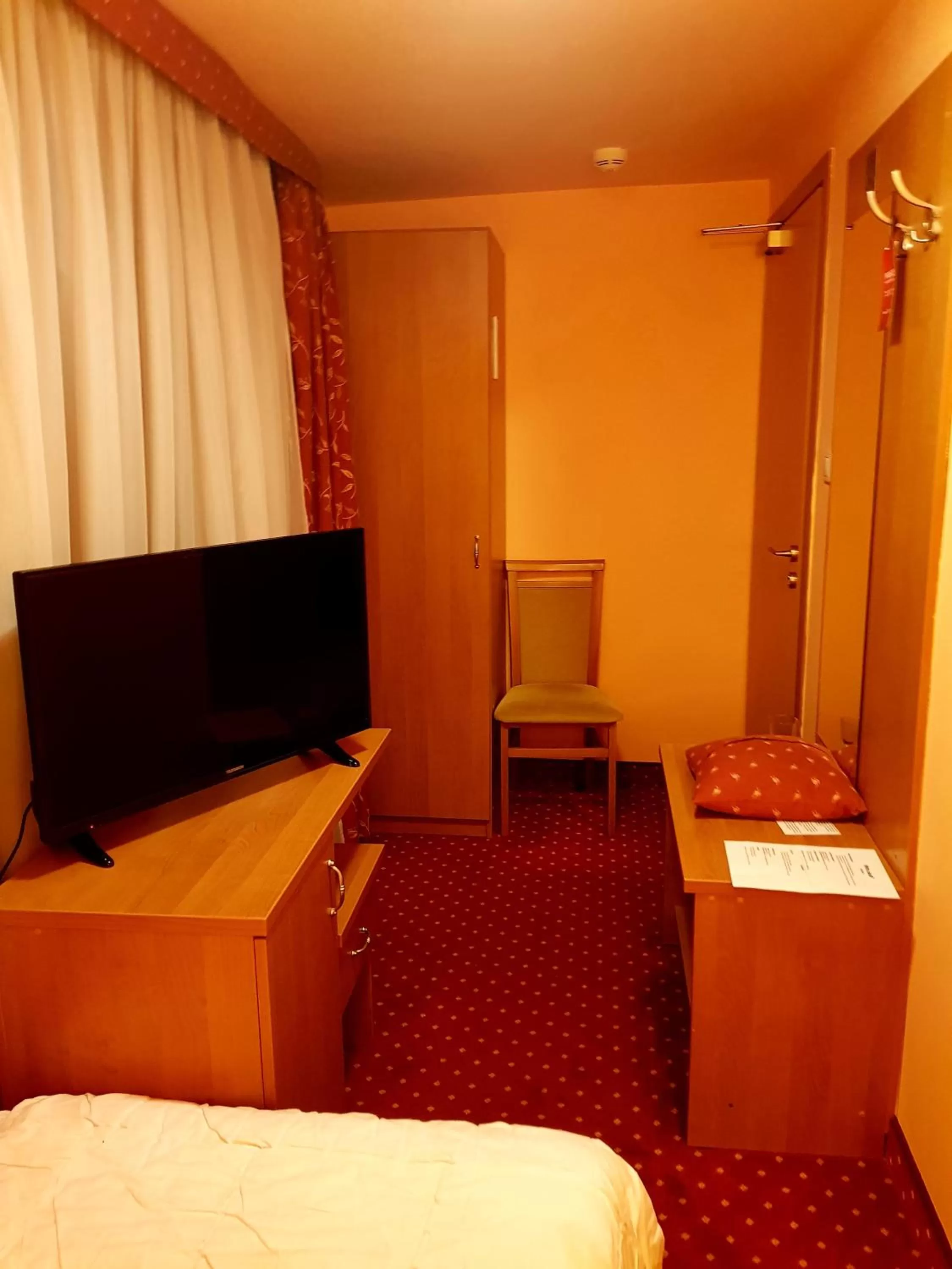 Small Single Room in Hotel Solny
