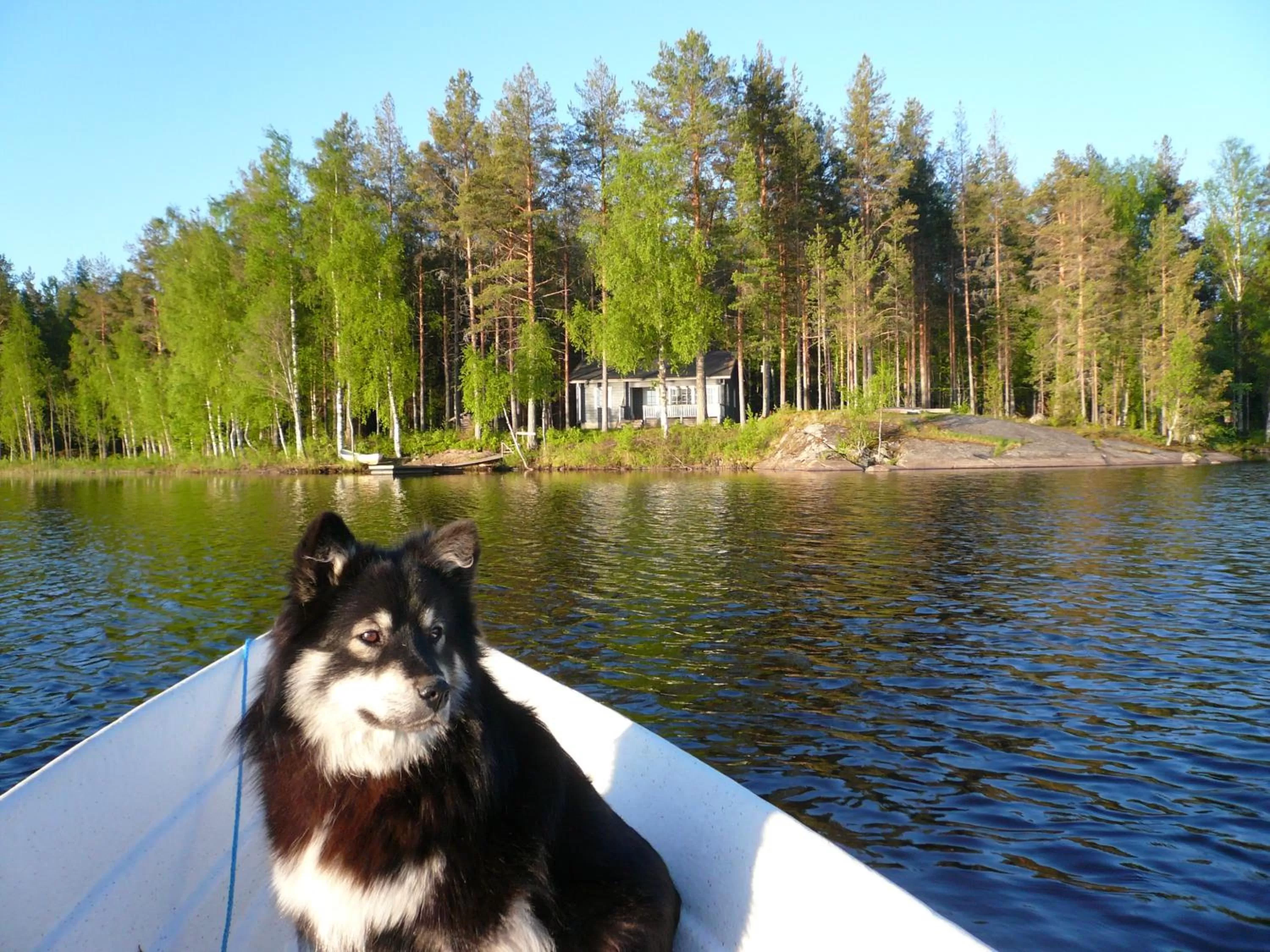 Day in B&B Lomamokkila