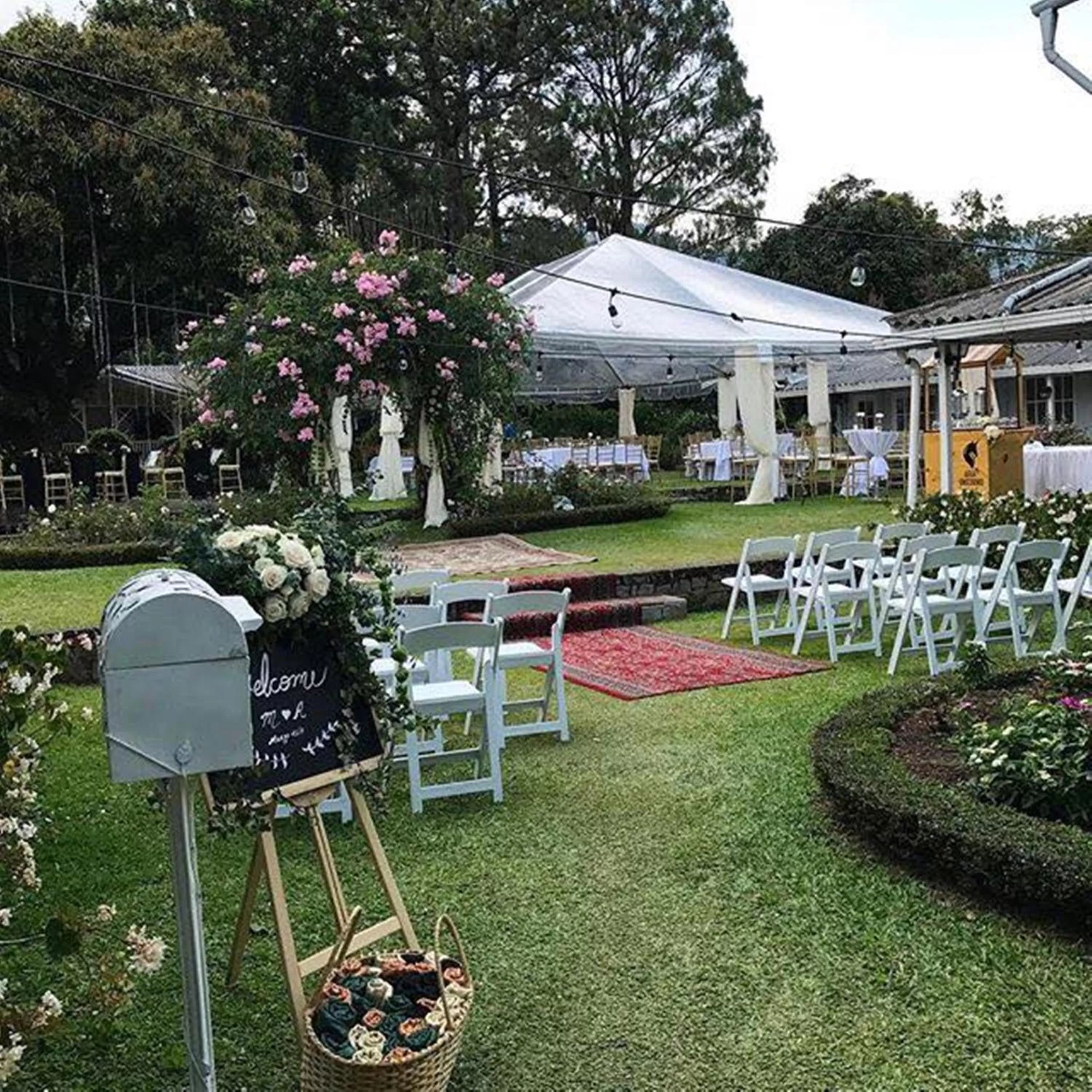 Garden in Hotel Panamonte
