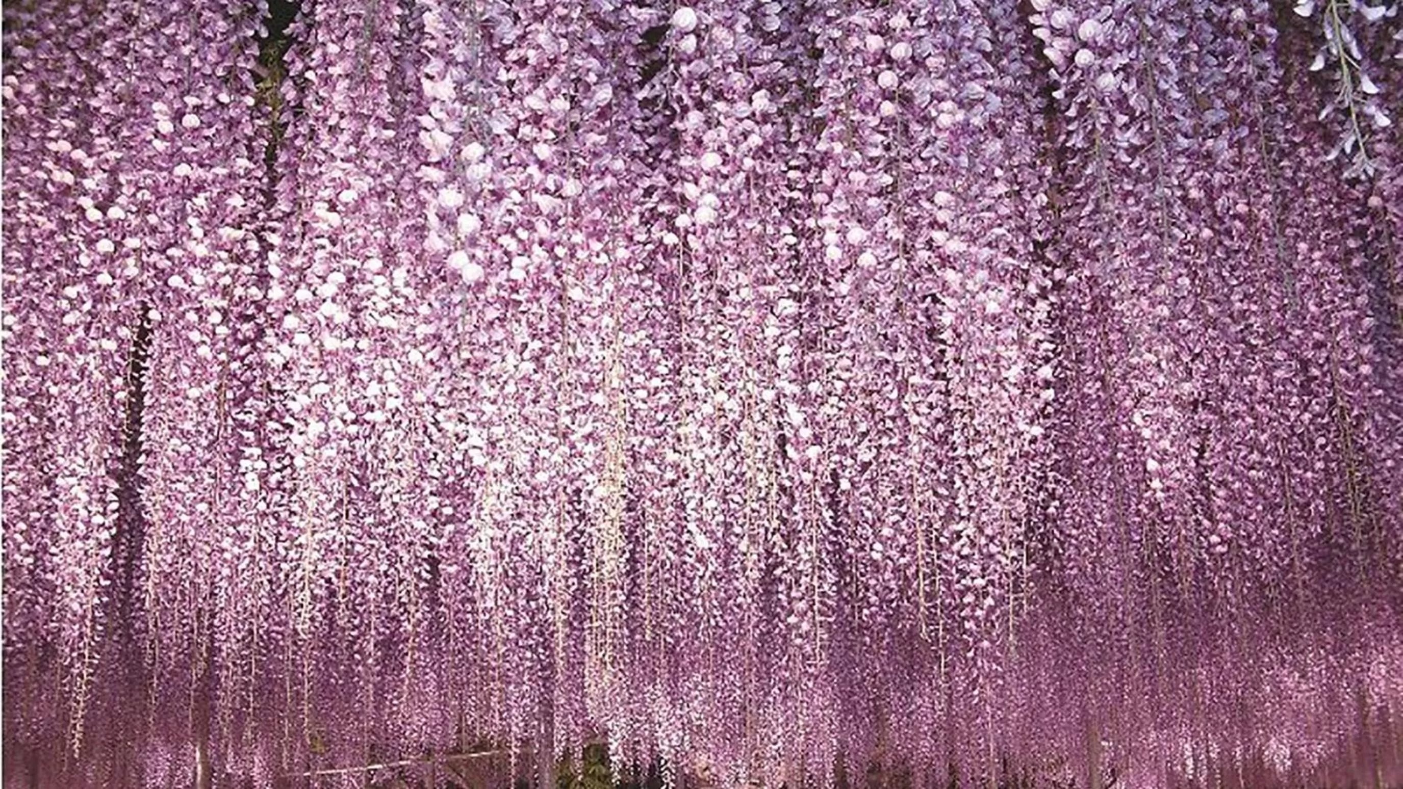 Nearby landmark in JR-East Hotel Mets Utsunomiya