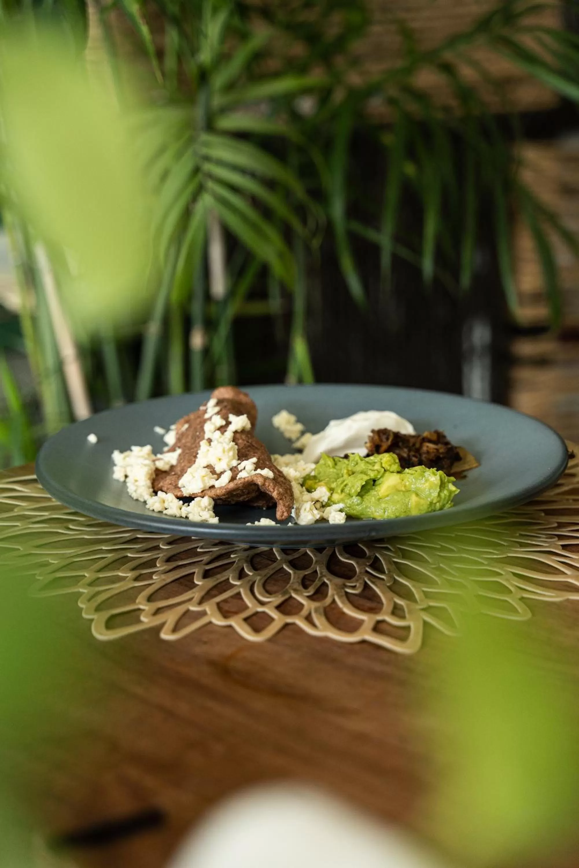 Restaurant/places to eat in Hotel Makaabá Eco-Boutique