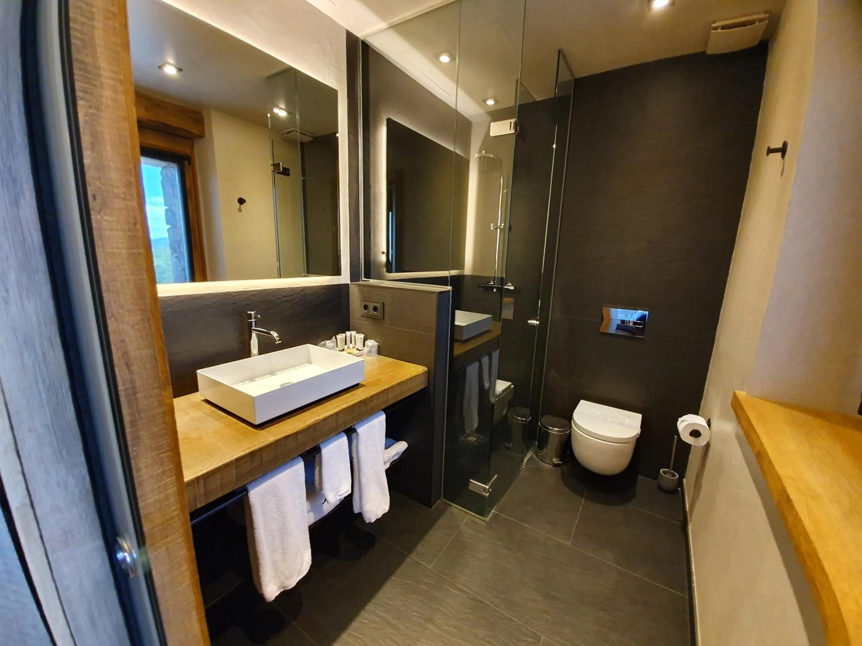 Toilet in Hotel Boutique Puig Francó