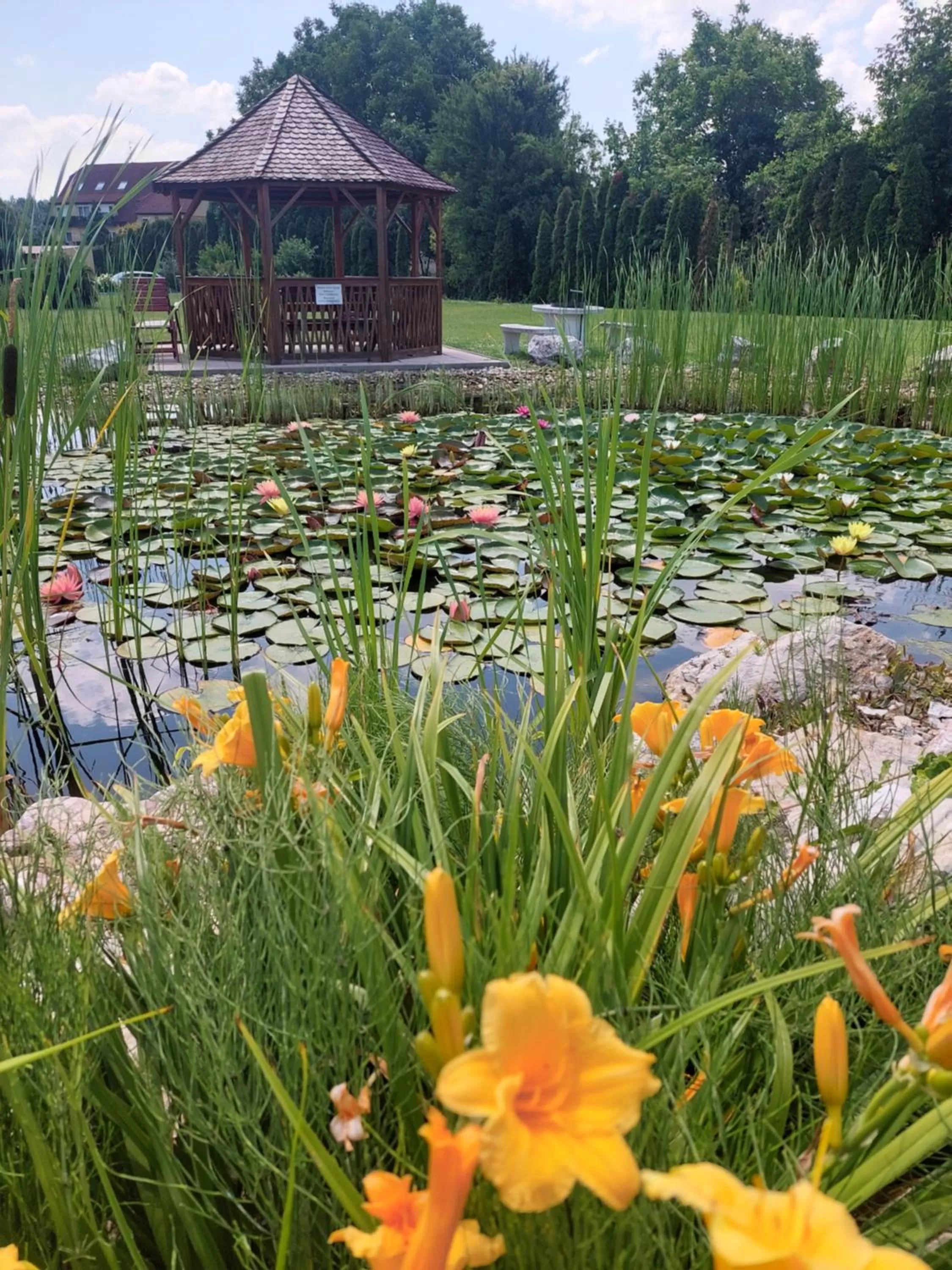 Garden in Hotel Panorama