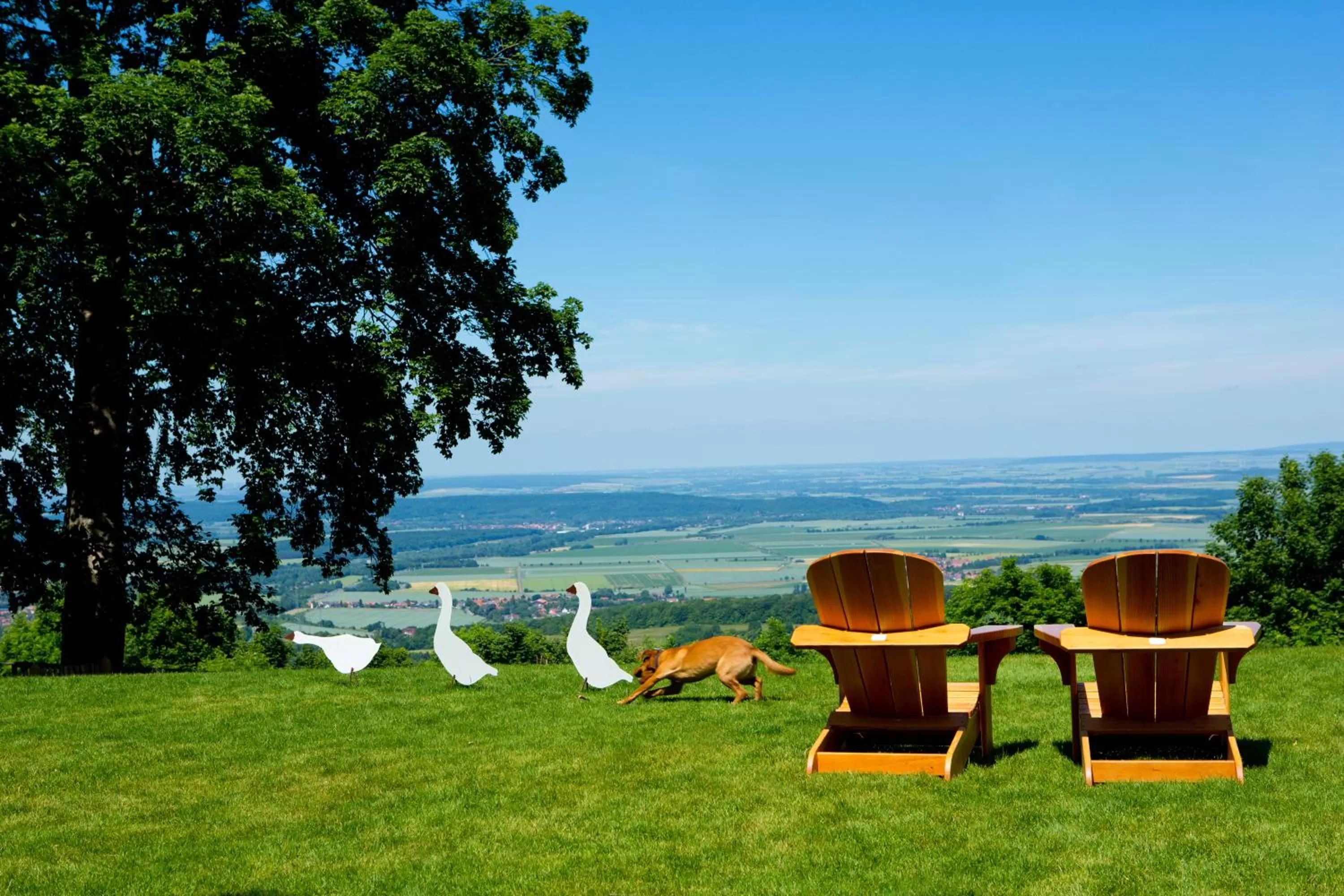 Activities in Plumbohms Aussichtsreich Gast- und Logierhaus