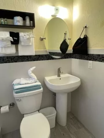 Swimming pool, Bathroom in Coconut Bay Resort - Key Largo
