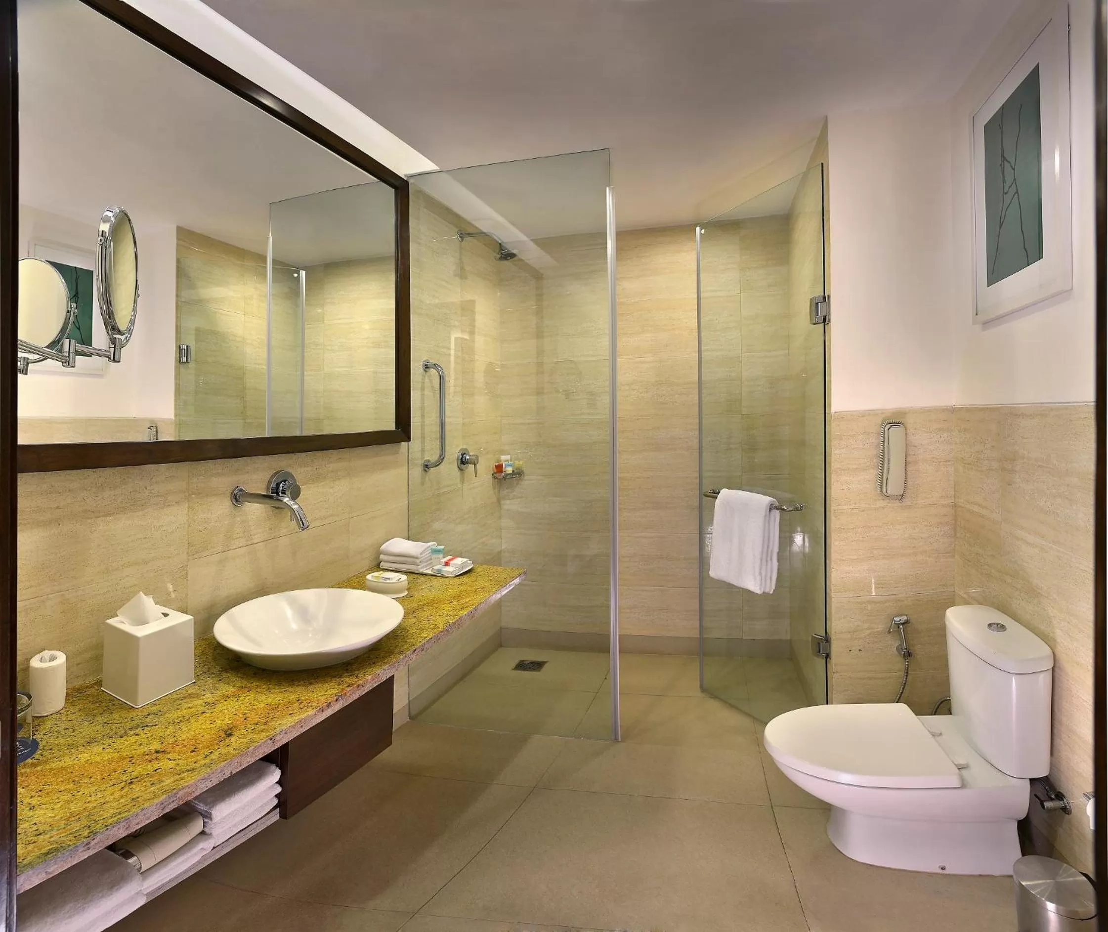 Toilet in Four Points by Sheraton New Delhi, Airport Highway