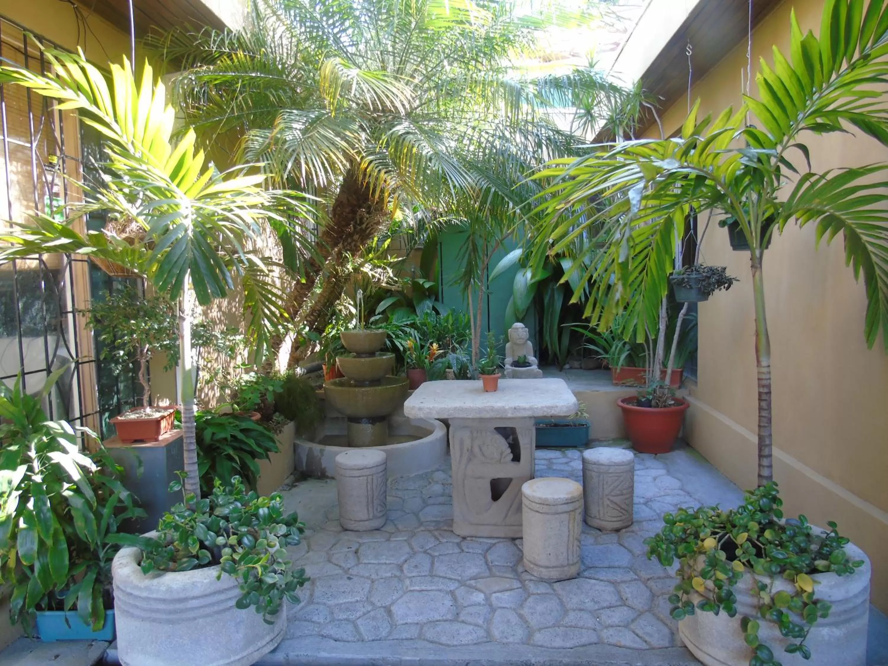 Garden in Out of Bounds Boutique Hotel