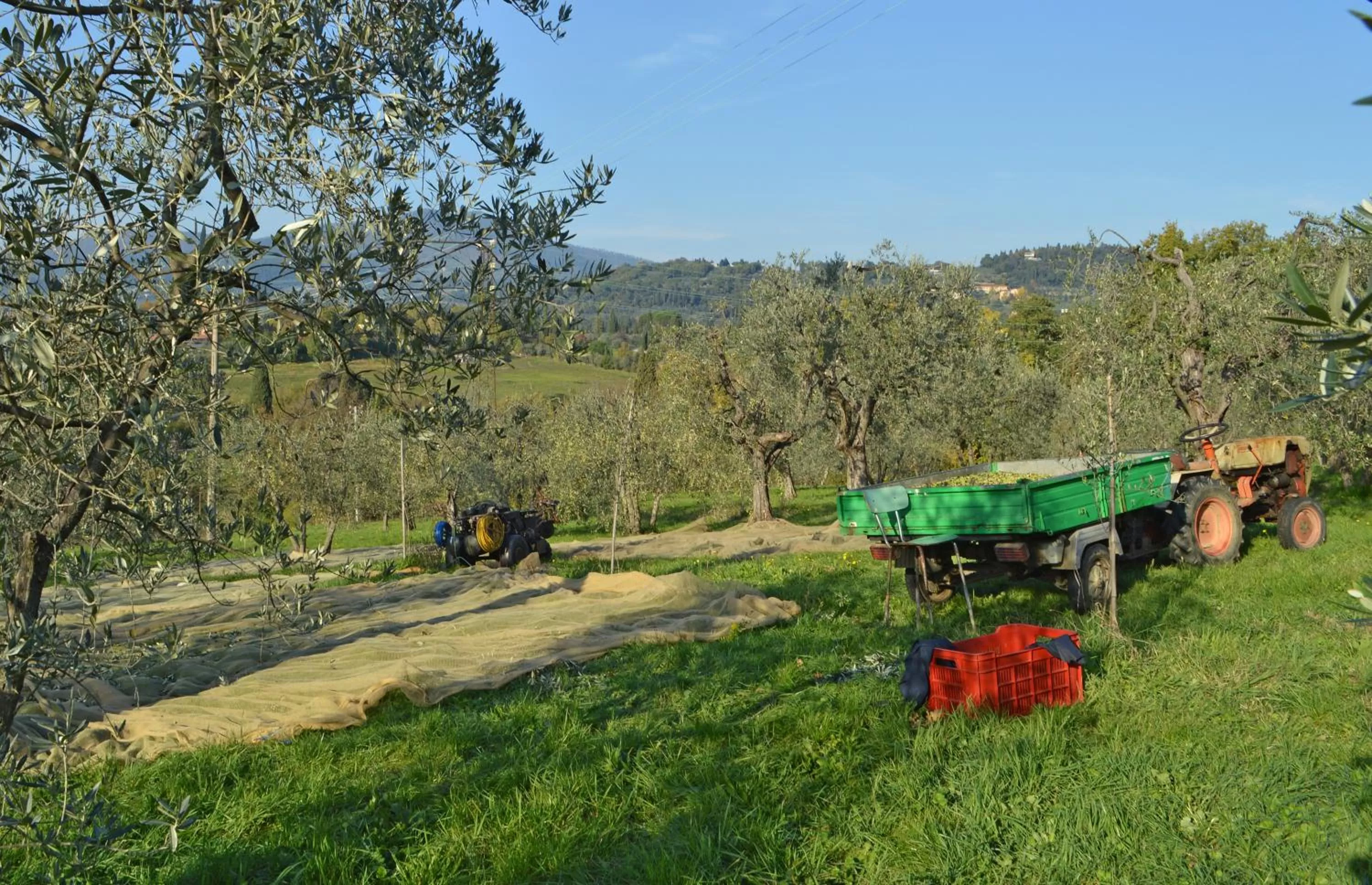 Other in Armonie di Villa Incontri B&B