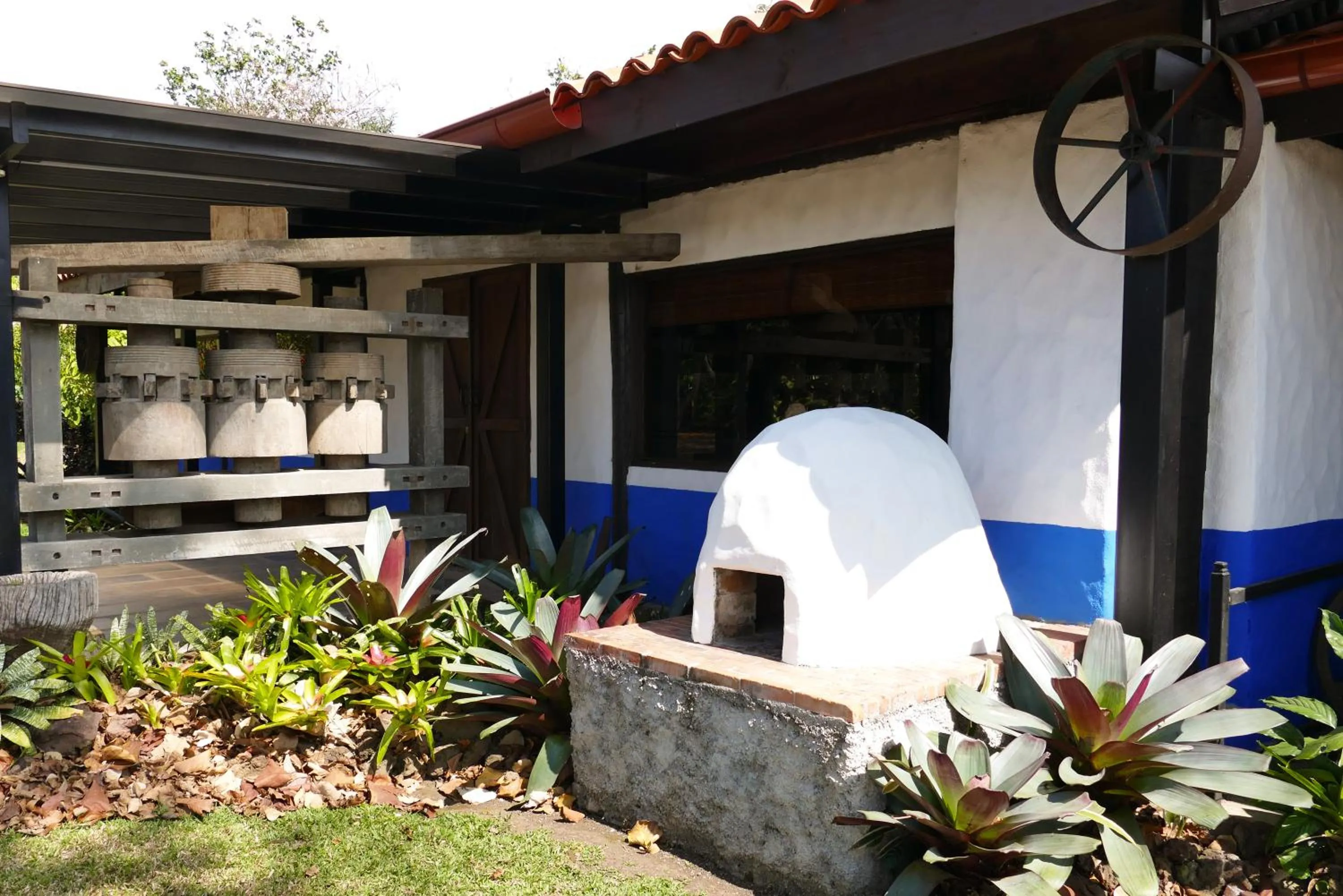 Area and facilities in Hotel Bougainvillea San José