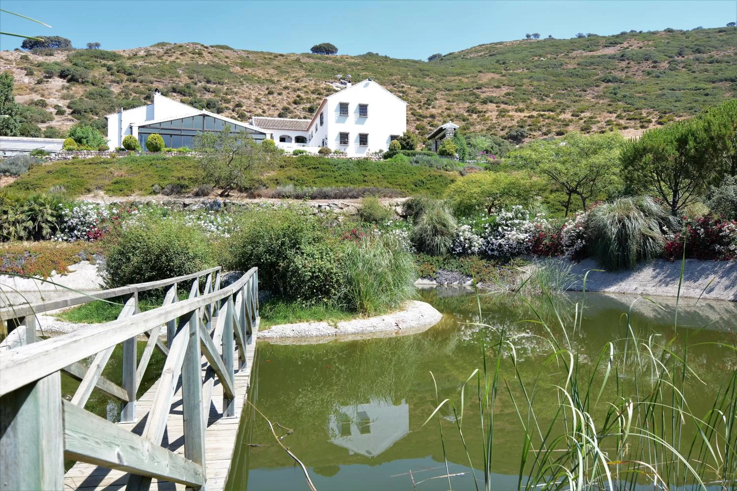 Natural landscape in Hotel Fuente del Sol